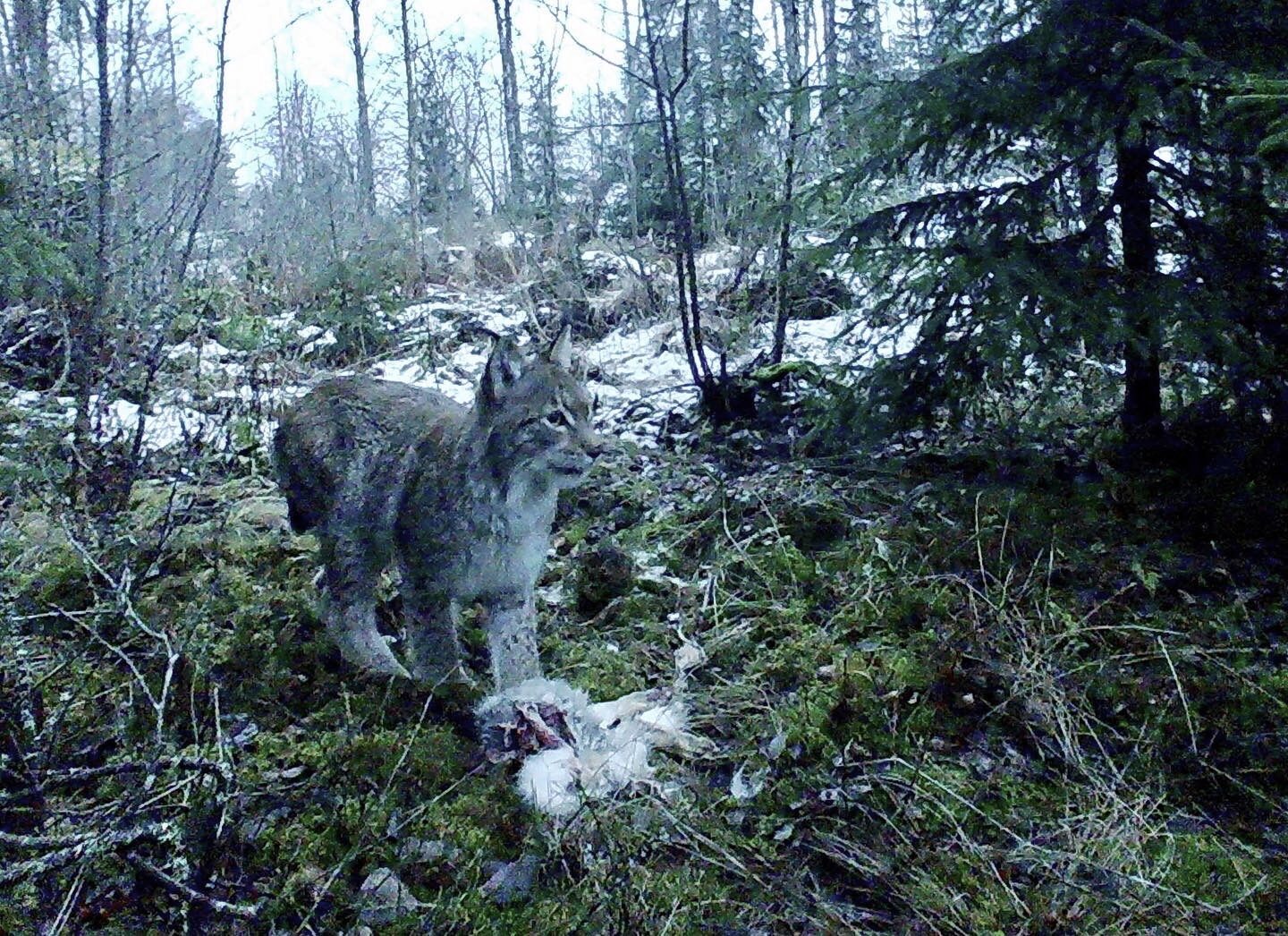 Valokuvaaja: Markku Ranta-Eilola