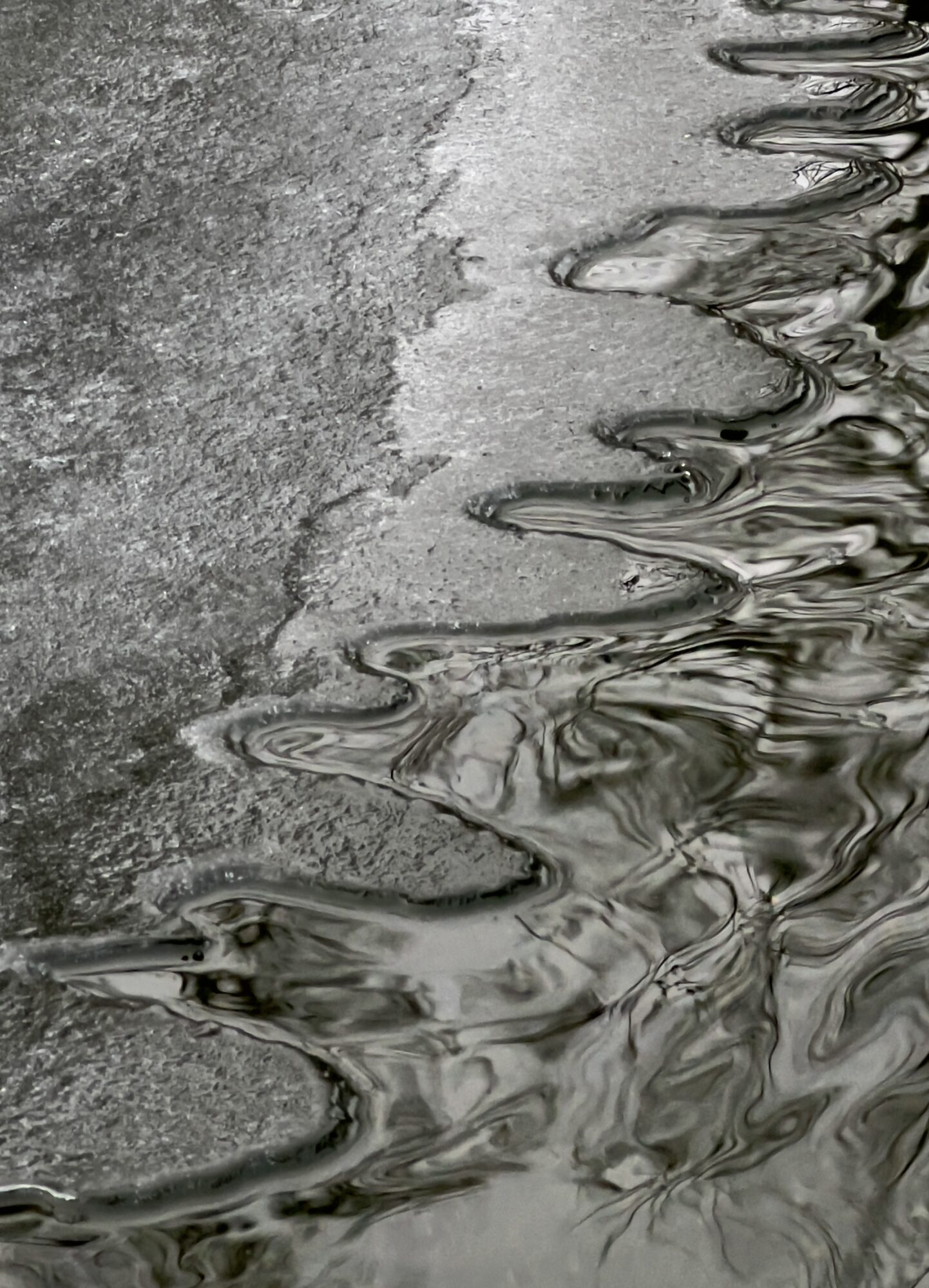 Valokuvaaja: Anne Patana