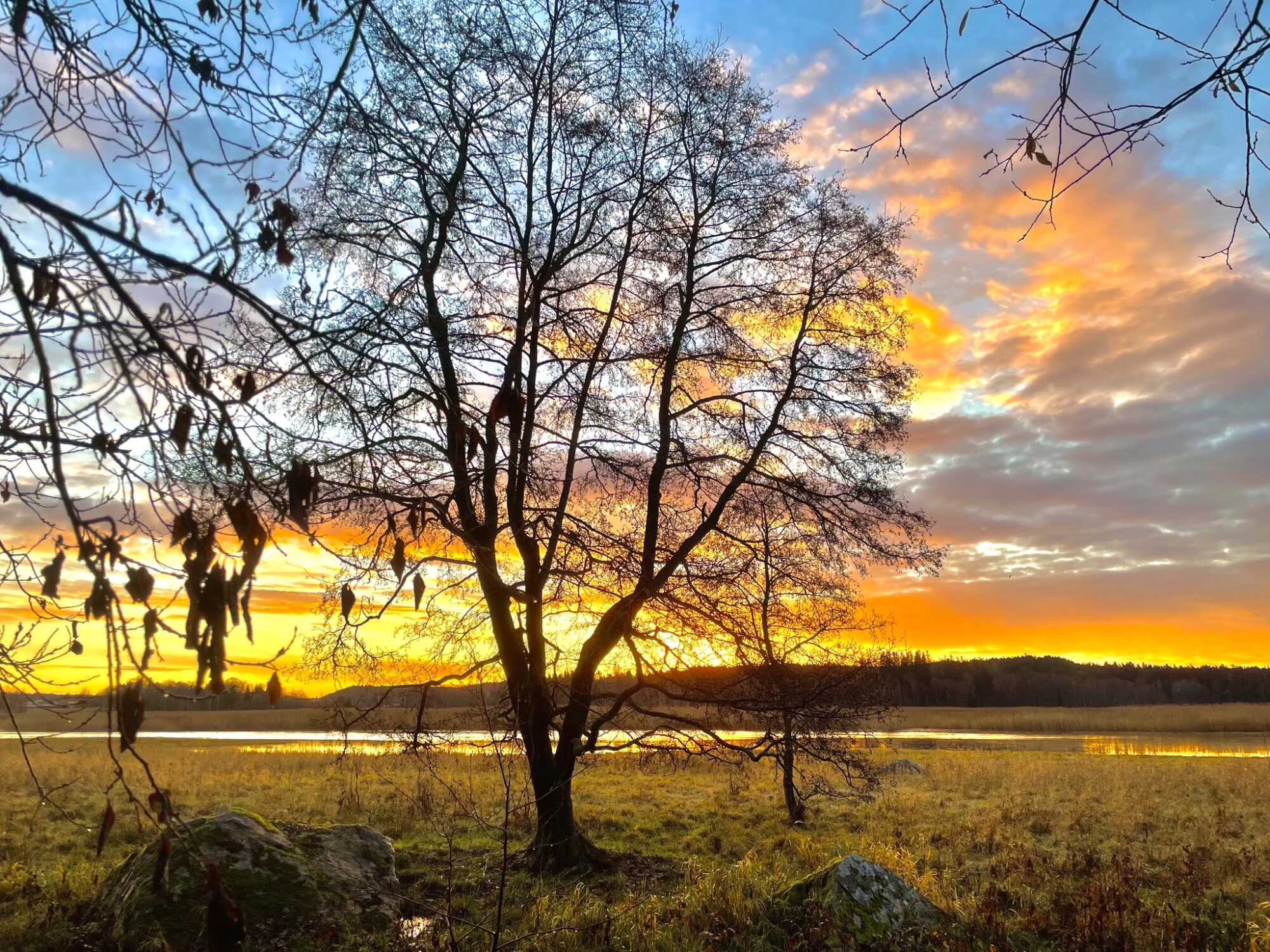 Valokuvaaja: Juhani Peltonen