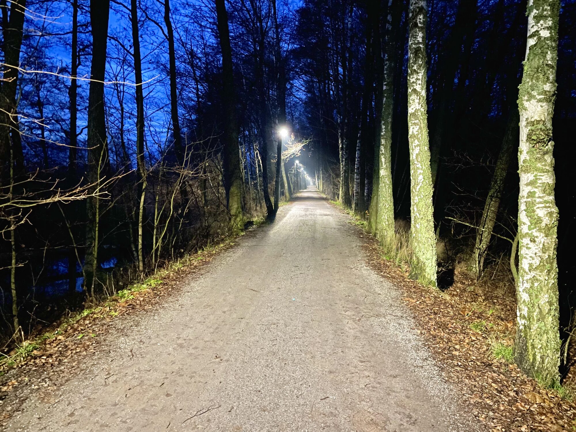 Valokuvaaja: Juhani Peltonen