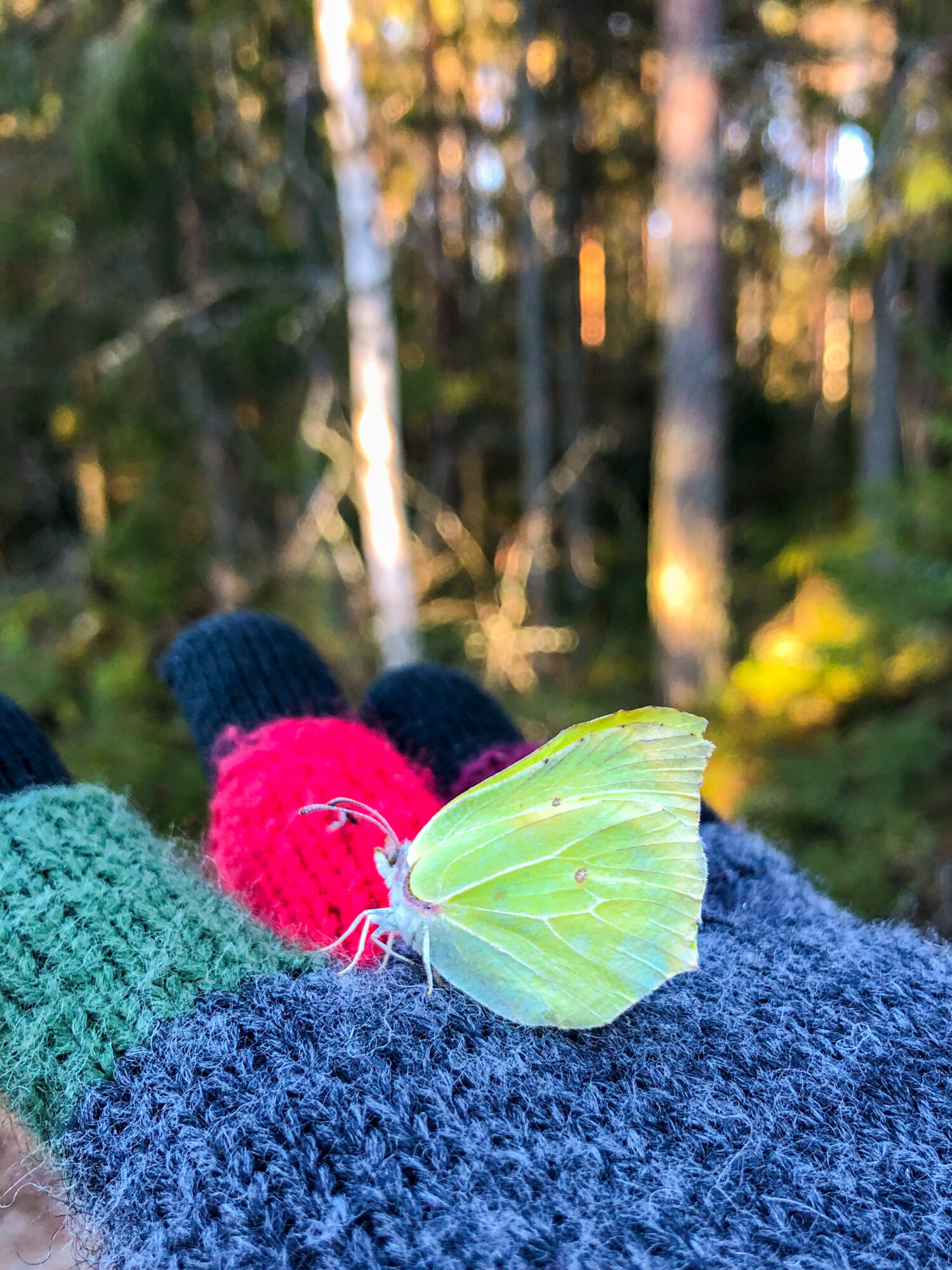 Valokuvaaja: Anne Grip