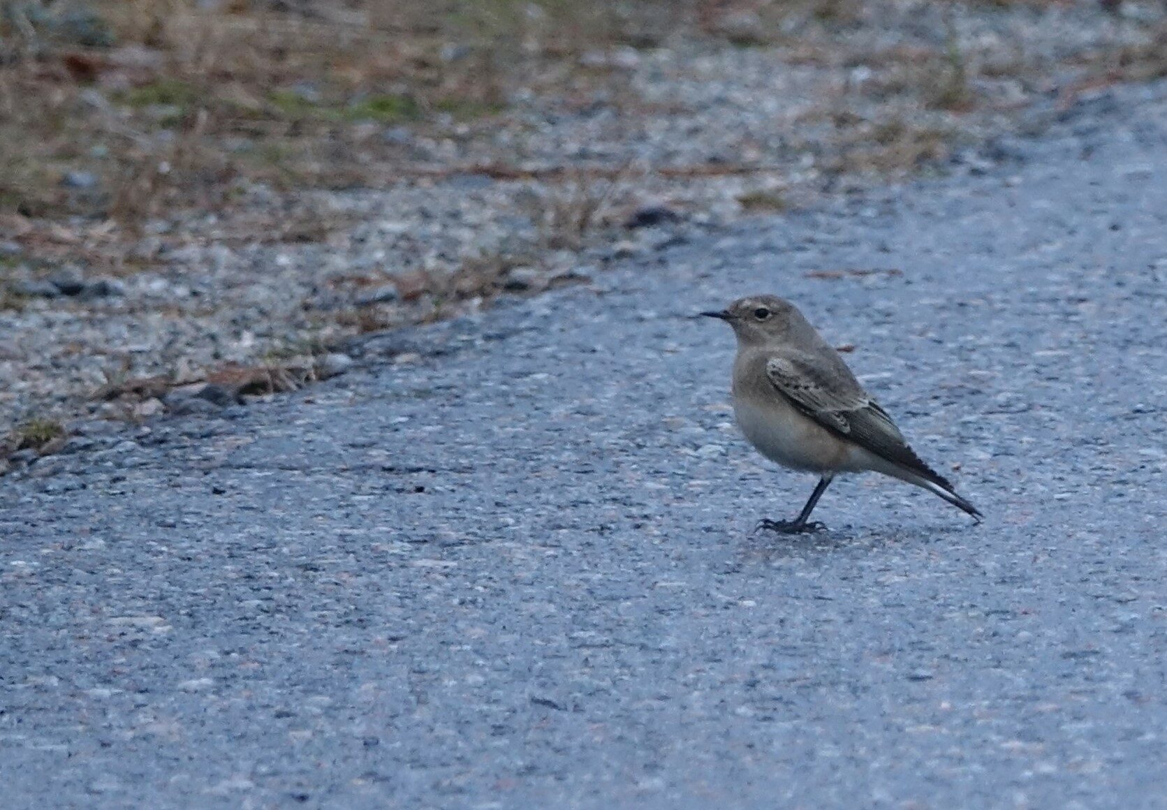 Valokuvaaja: Tuomo Kiminki