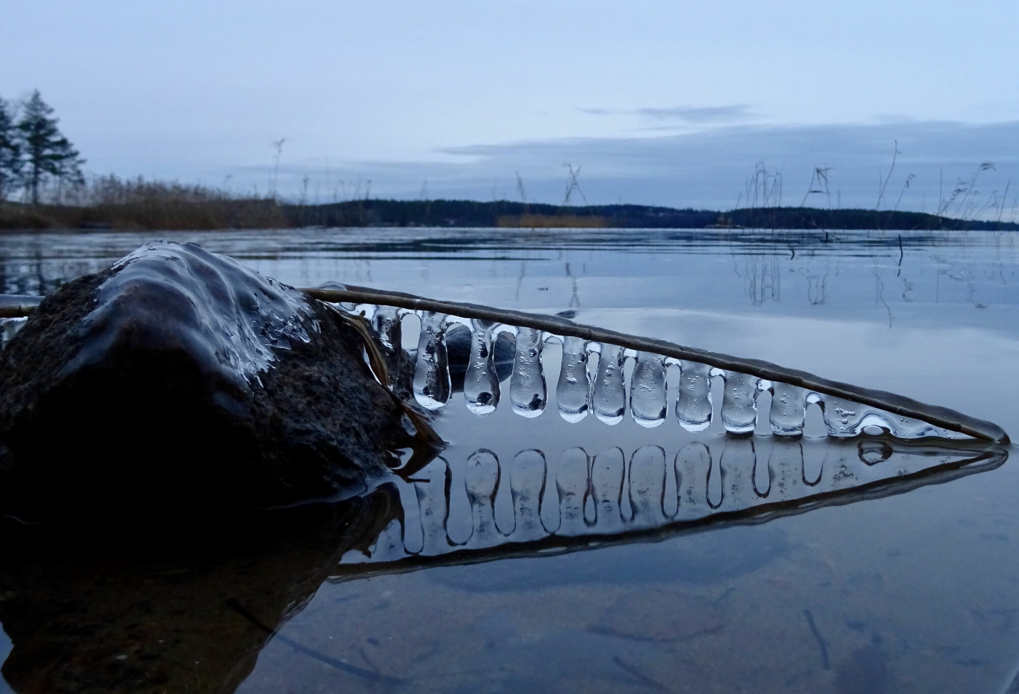 Valokuvaaja: Liisa Niiva-Korpela