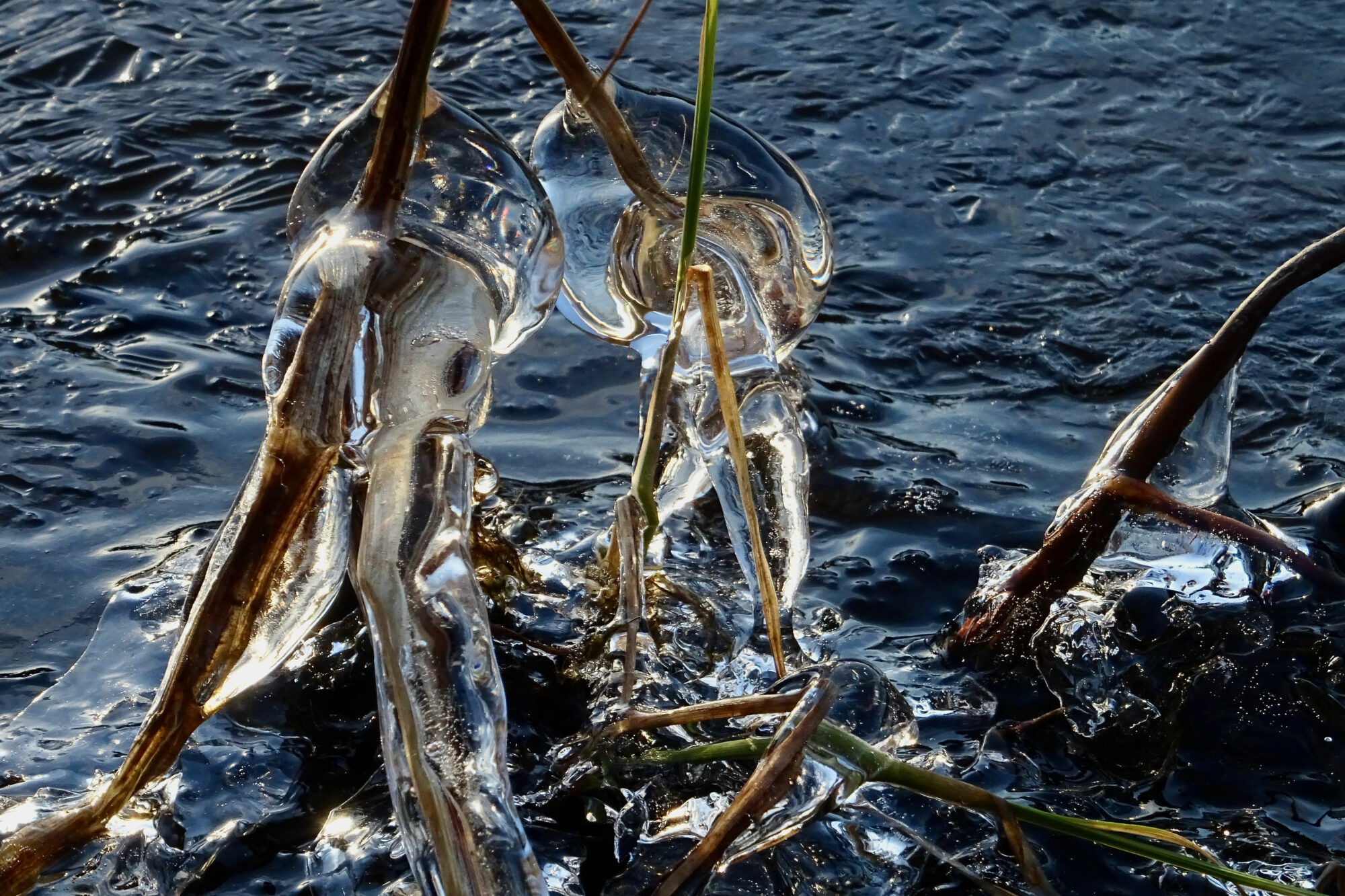 Valokuvaaja: Liisa Niiva-Korpela