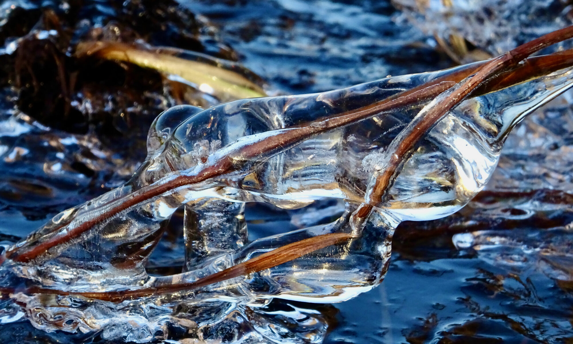 Valokuvaaja: Liisa Niiva-Korpela