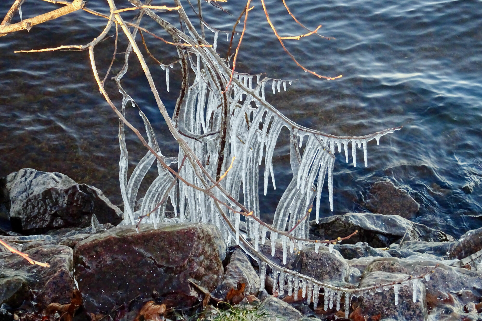 Valokuvaaja: Liisa Niiva-Korpela