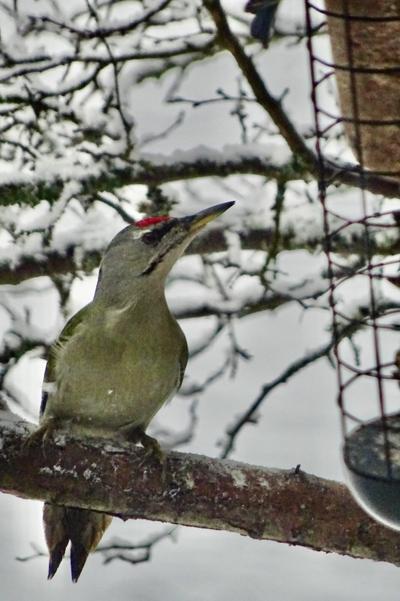 Valokuvaaja: Liisa Niiva-Korpela