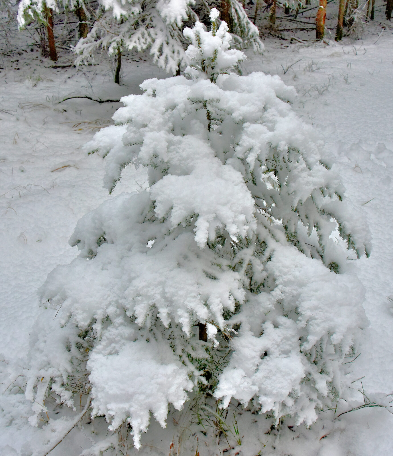 Valokuvaaja: Reijo Juurinen