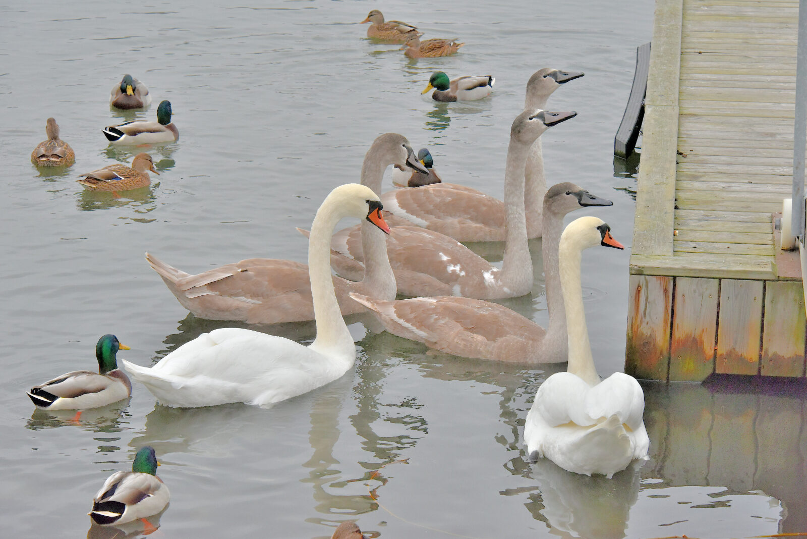 Valokuvaaja: Reijo Juurinen
