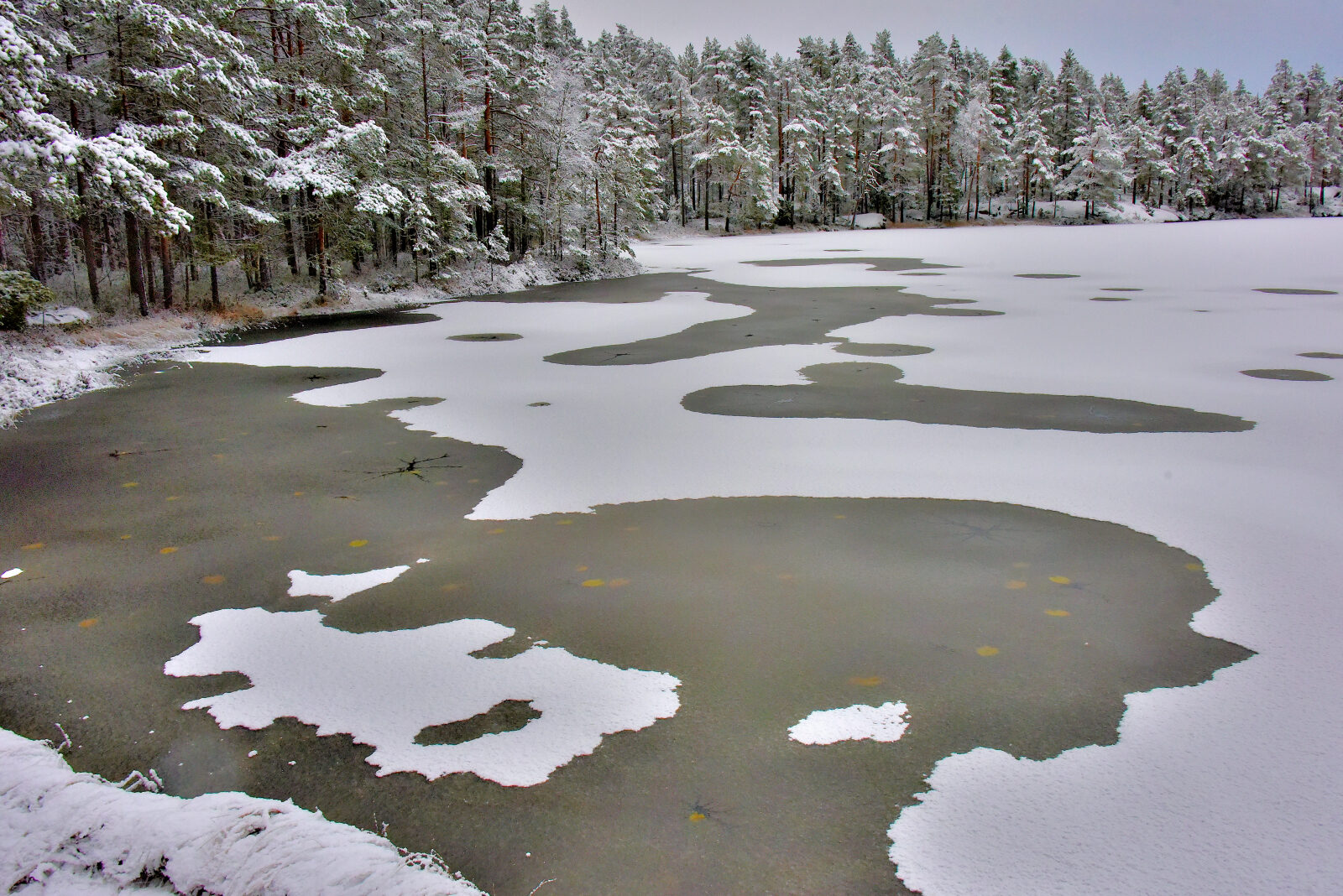 Valokuvaaja: Reijo Juurinen