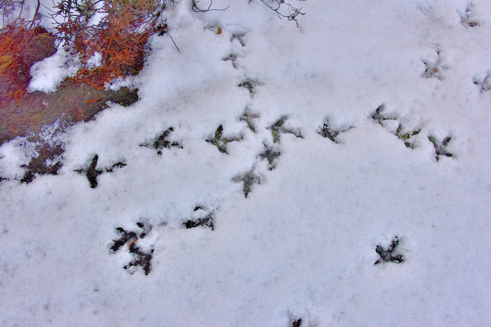 Valokuvaaja: Reijo Juurinen