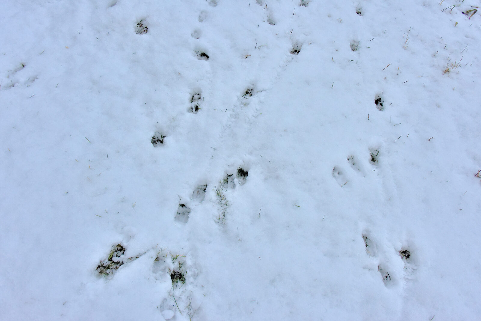 Valokuvaaja: Reijo Juurinen Valokuvaaja: Reijo Juurinen