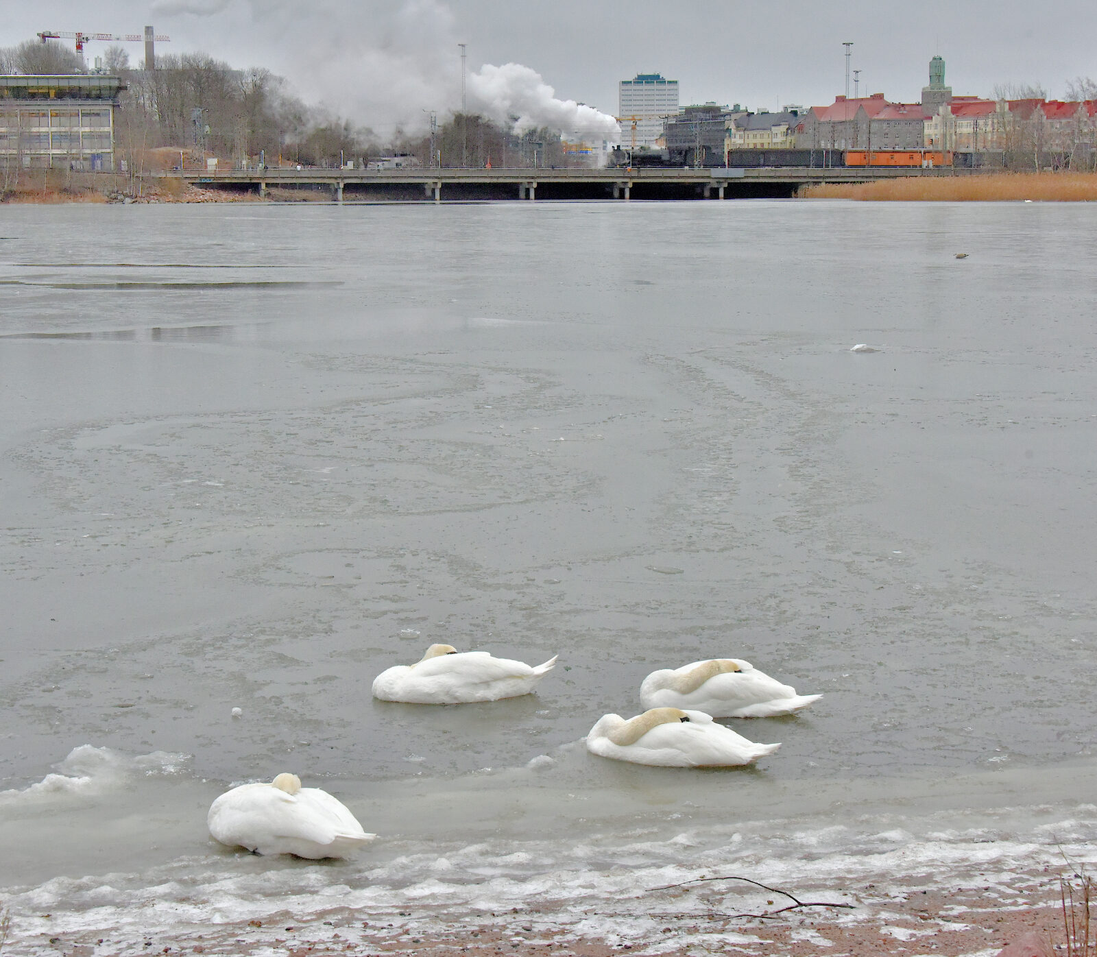 Valokuvaaja: Reijo Juurinen Valokuvaaja: Reijo Juurinen