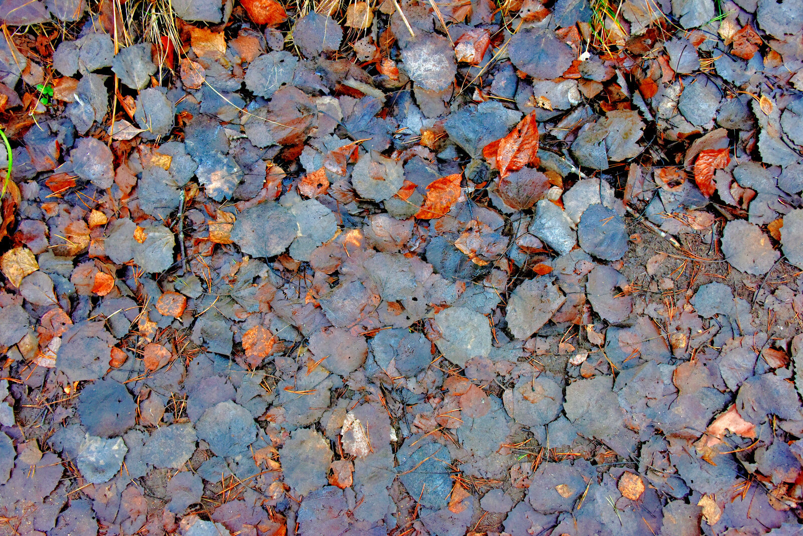 Valokuvaaja: Reijo Juurinen