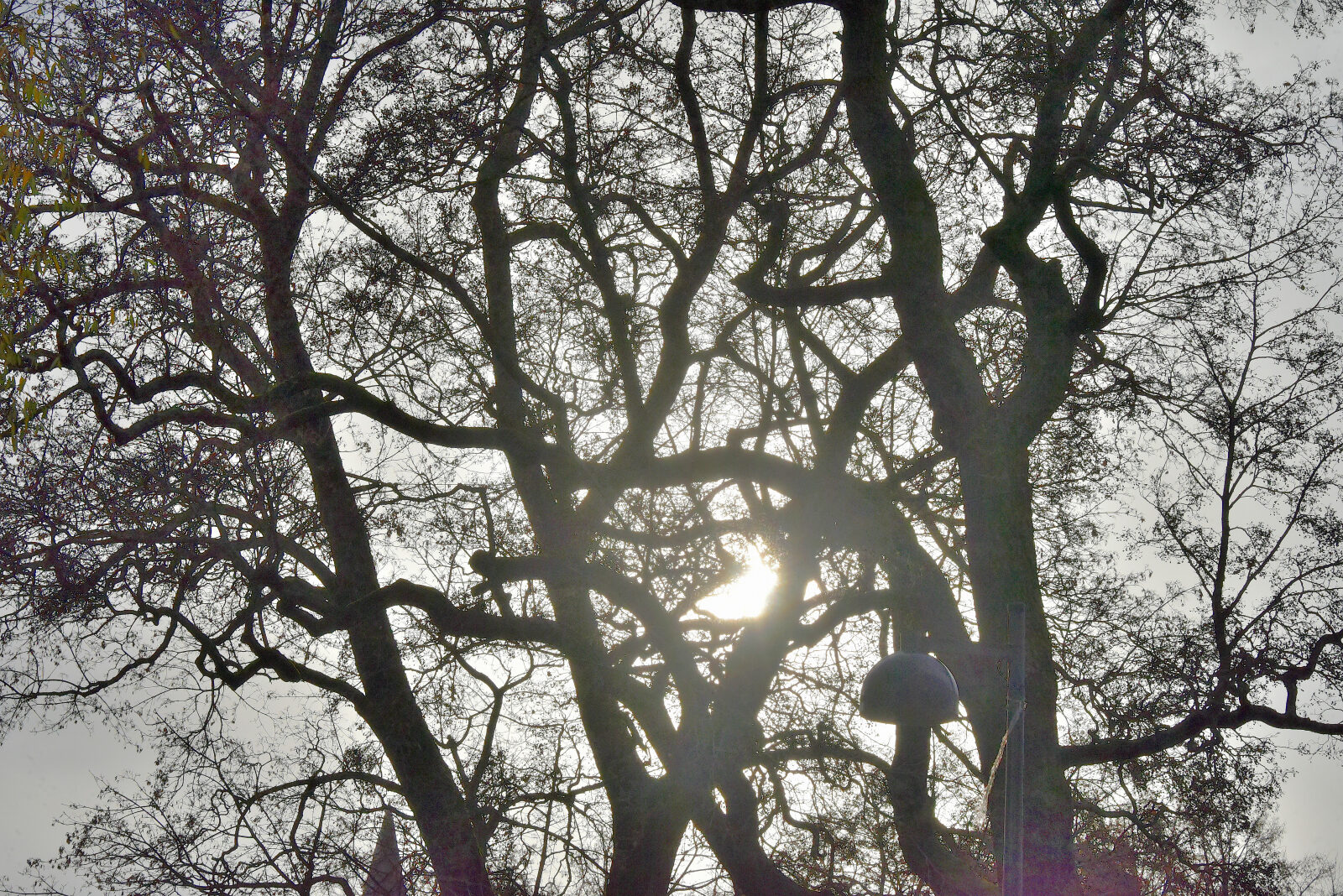 Valokuvaaja: Reijo Juurinen