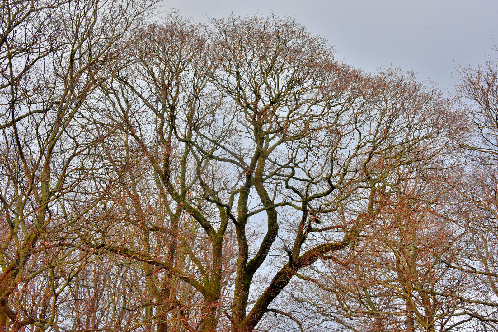 Valokuvaaja: Reijo Juurinen