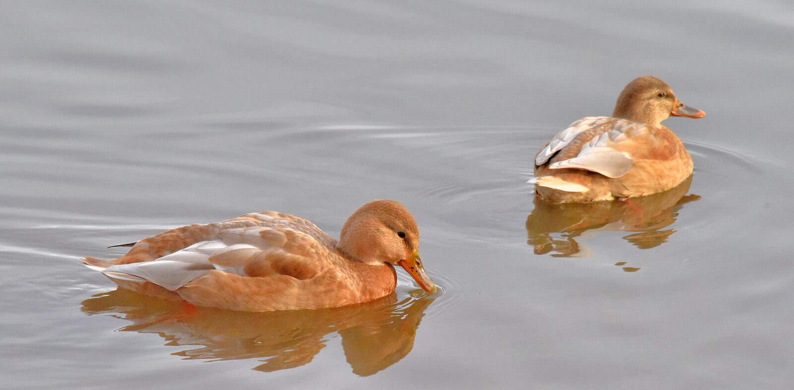 Valokuvaaja: Reijo Juurinen