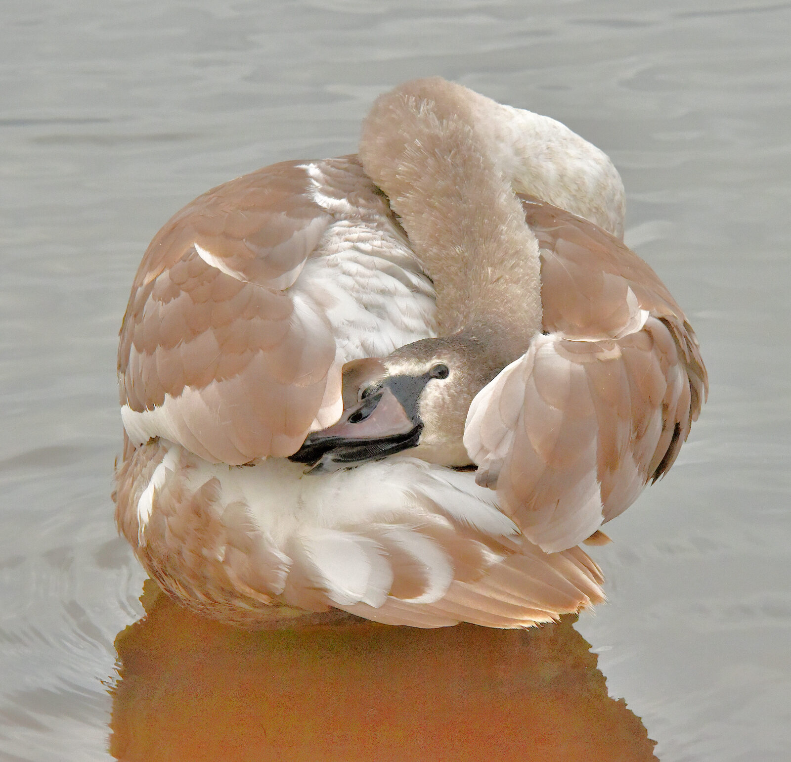 Valokuvaaja: Reijo Juurinen