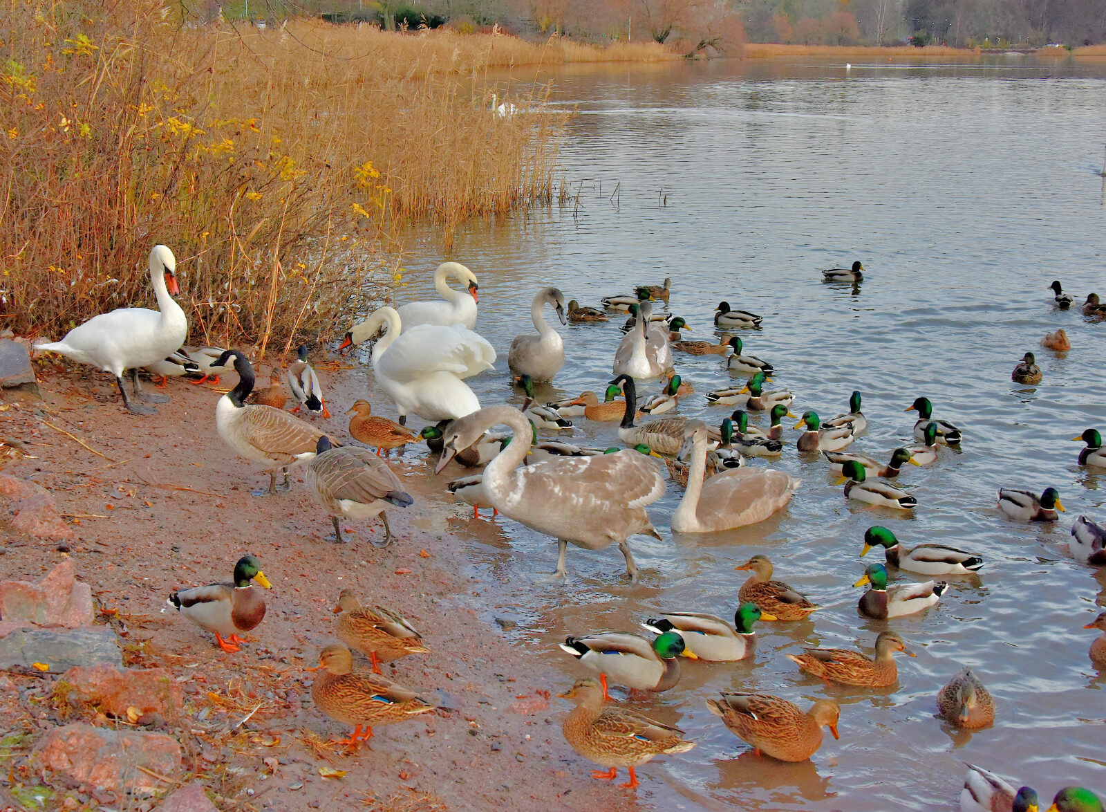 Valokuvaaja: Reijo Juurinen Valokuvaaja: Reijo Juurinen