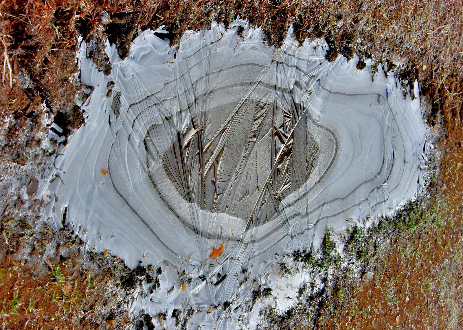 Valokuvaaja: Reijo Juurinen