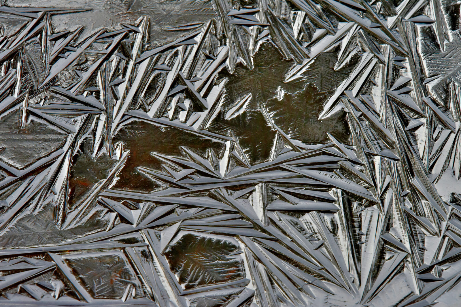 Valokuvaaja: Reijo Juurinen