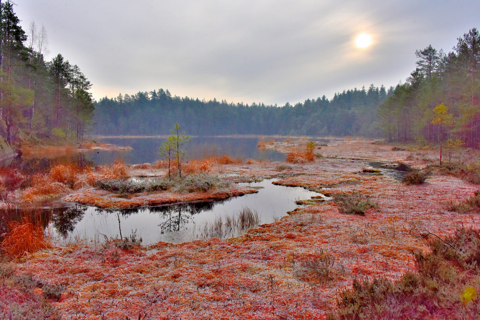 Valokuvaaja: Reijo Juurinen