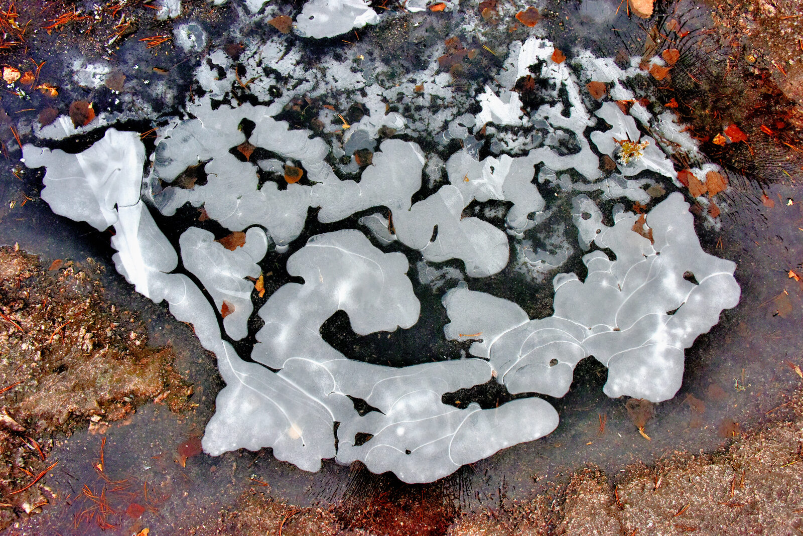 Valokuvaaja: Reijo Juurinen