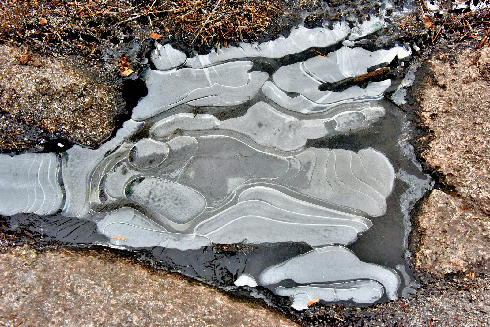 Valokuvaaja: Reijo Juurinen