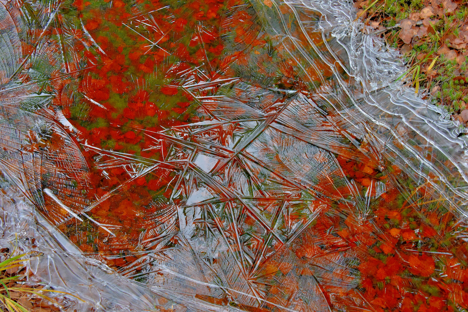 Valokuvaaja: Reijo Juurinen