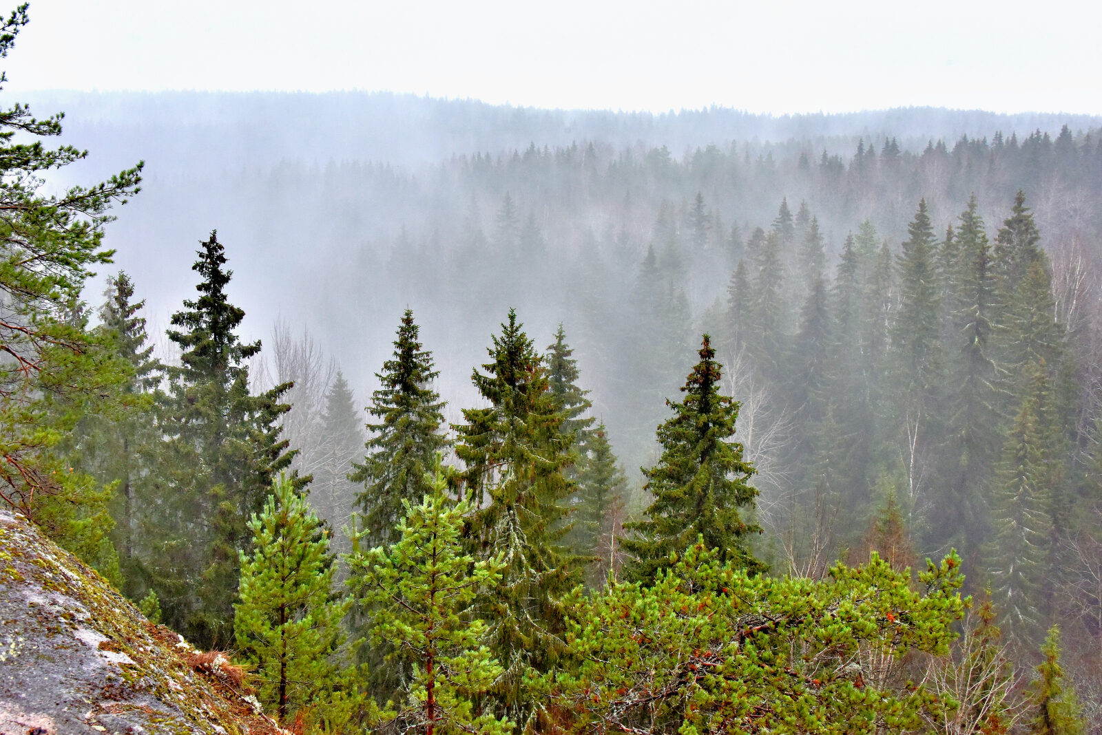 Valokuvaaja: Reijo Juurinen