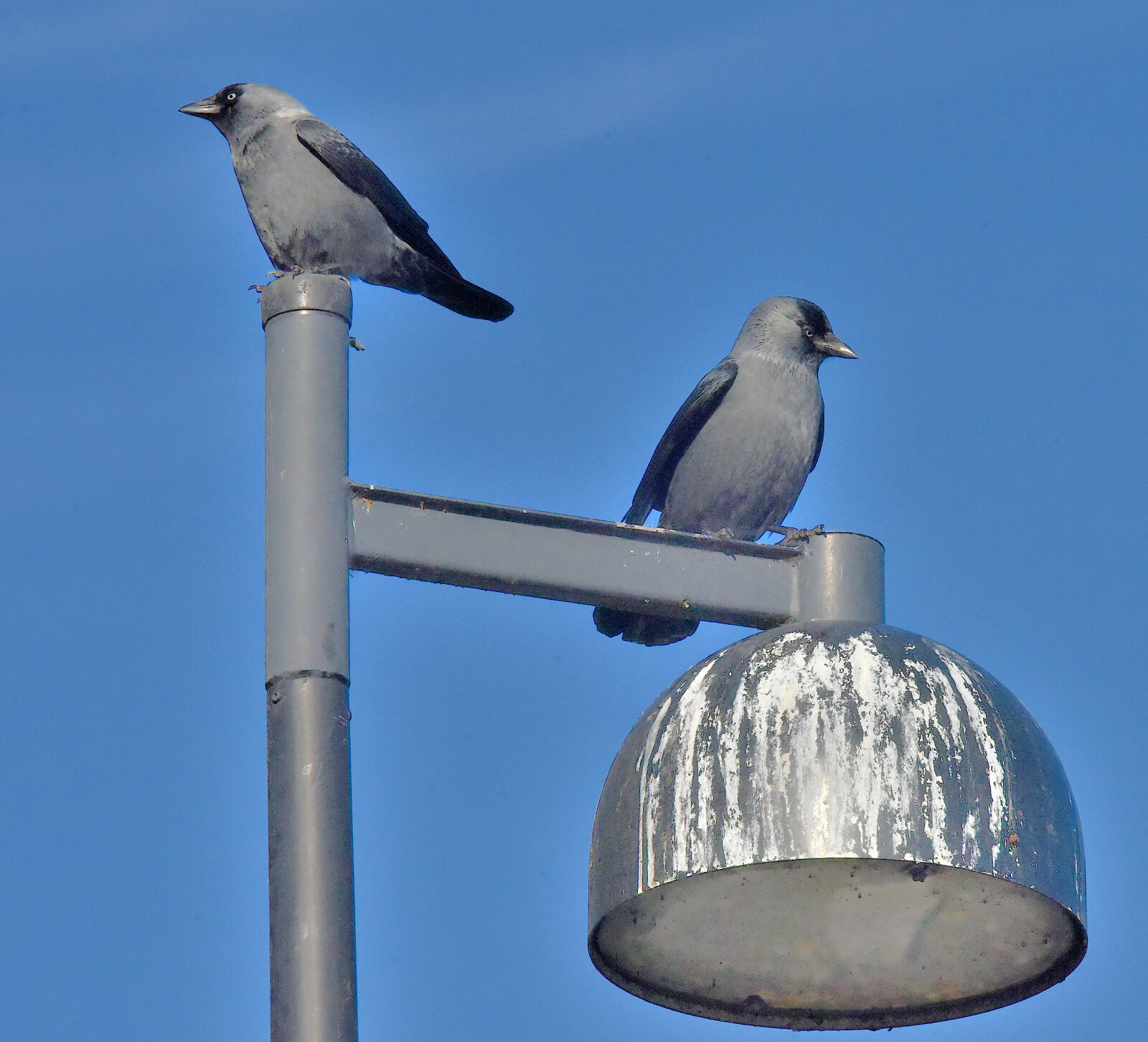 Valokuvaaja: Reijo Juurinen Valokuvaaja: Reijo Juurinen