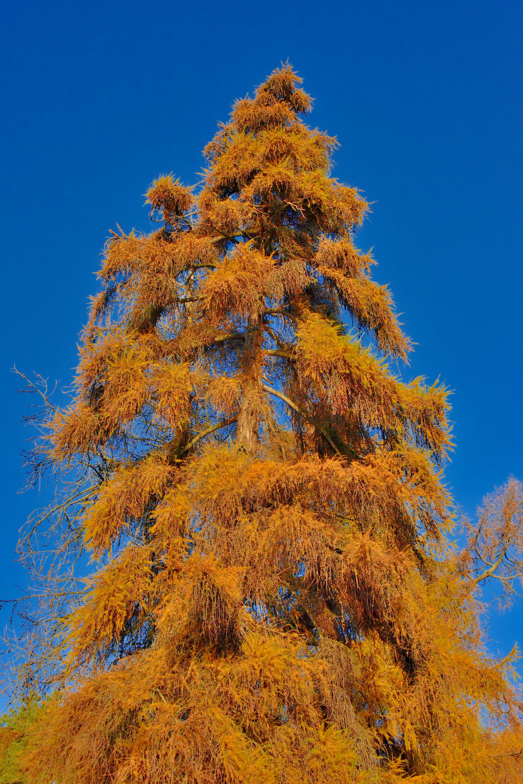 Valokuvaaja: Reijo Juurinen