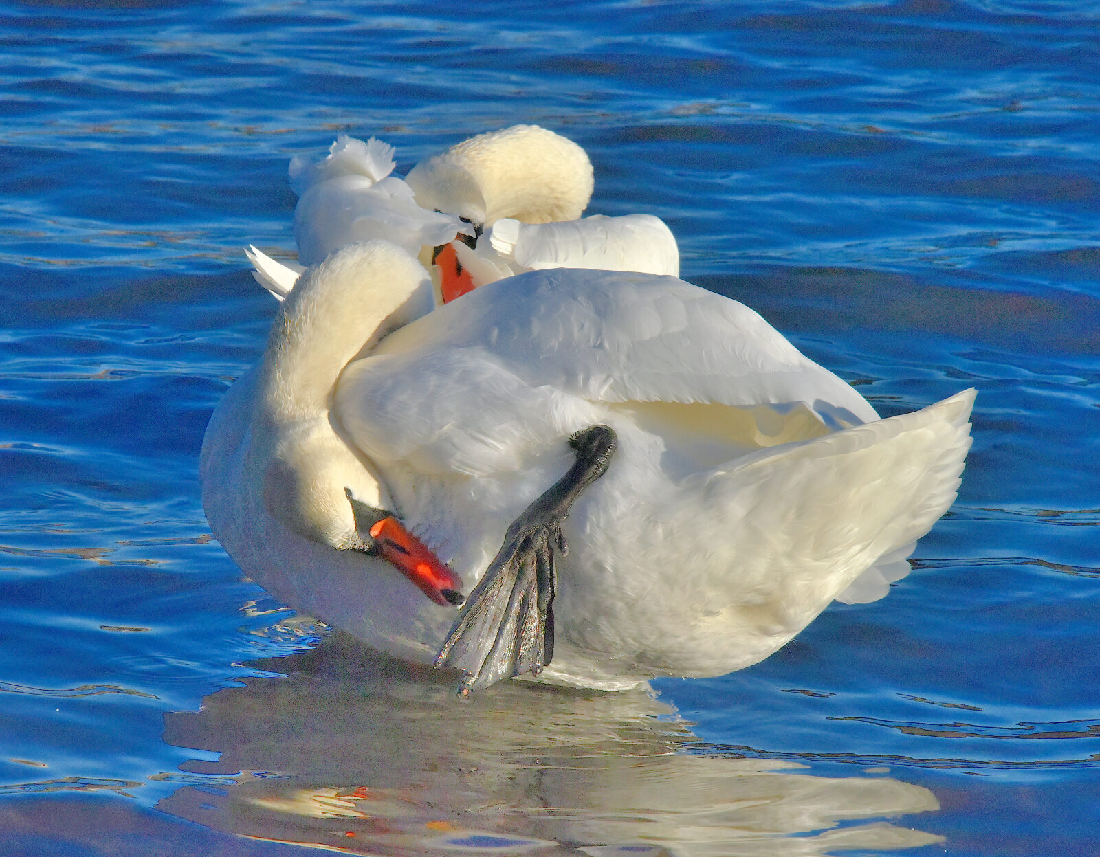 Valokuvaaja: Reijo Juurinen