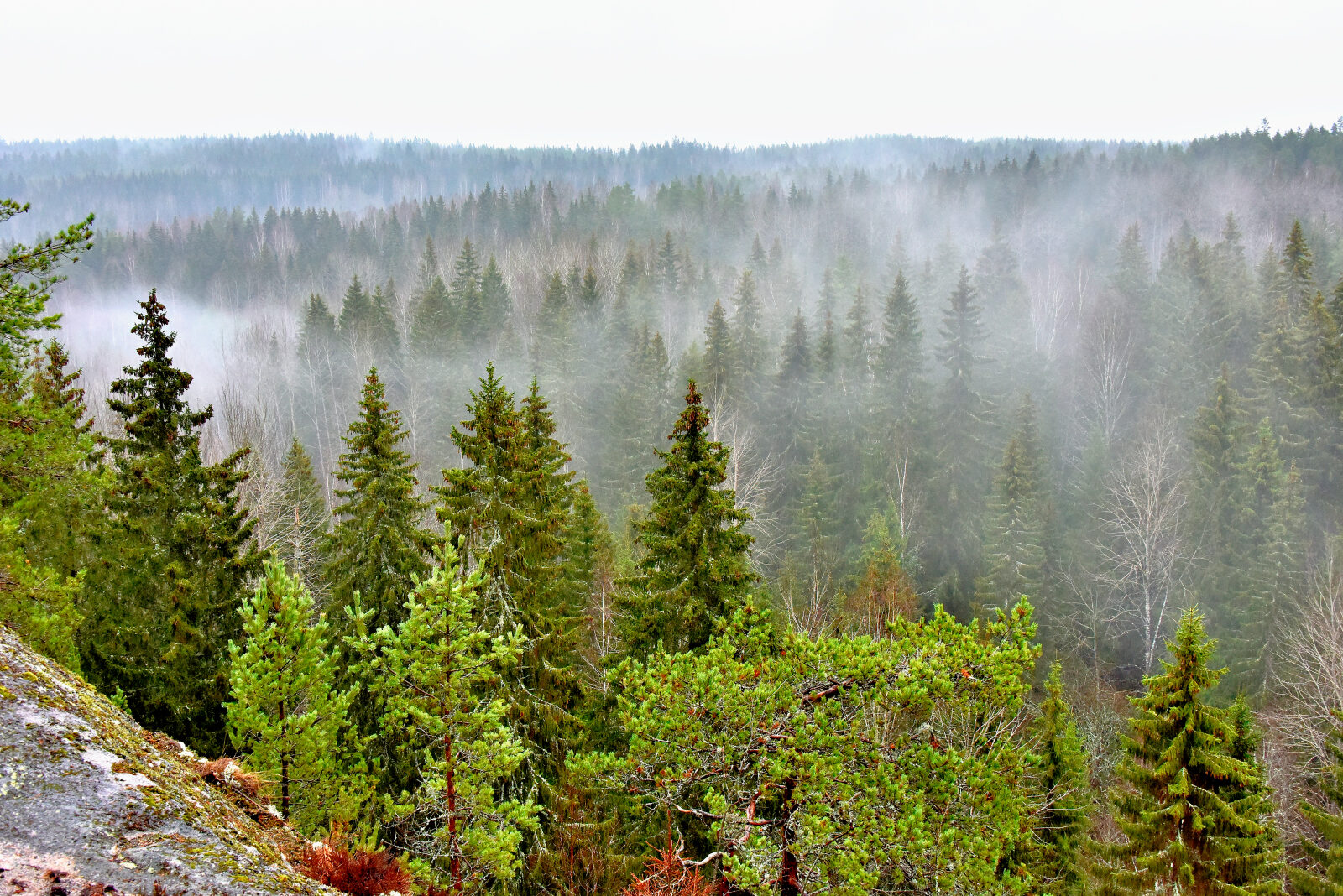 Valokuvaaja: Reijo Juurinen