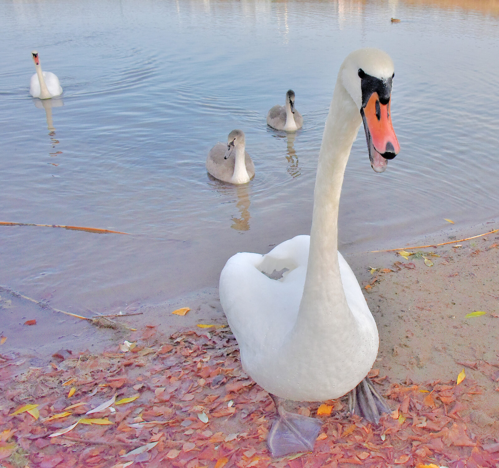 Valokuvaaja: Reijo Juurinen