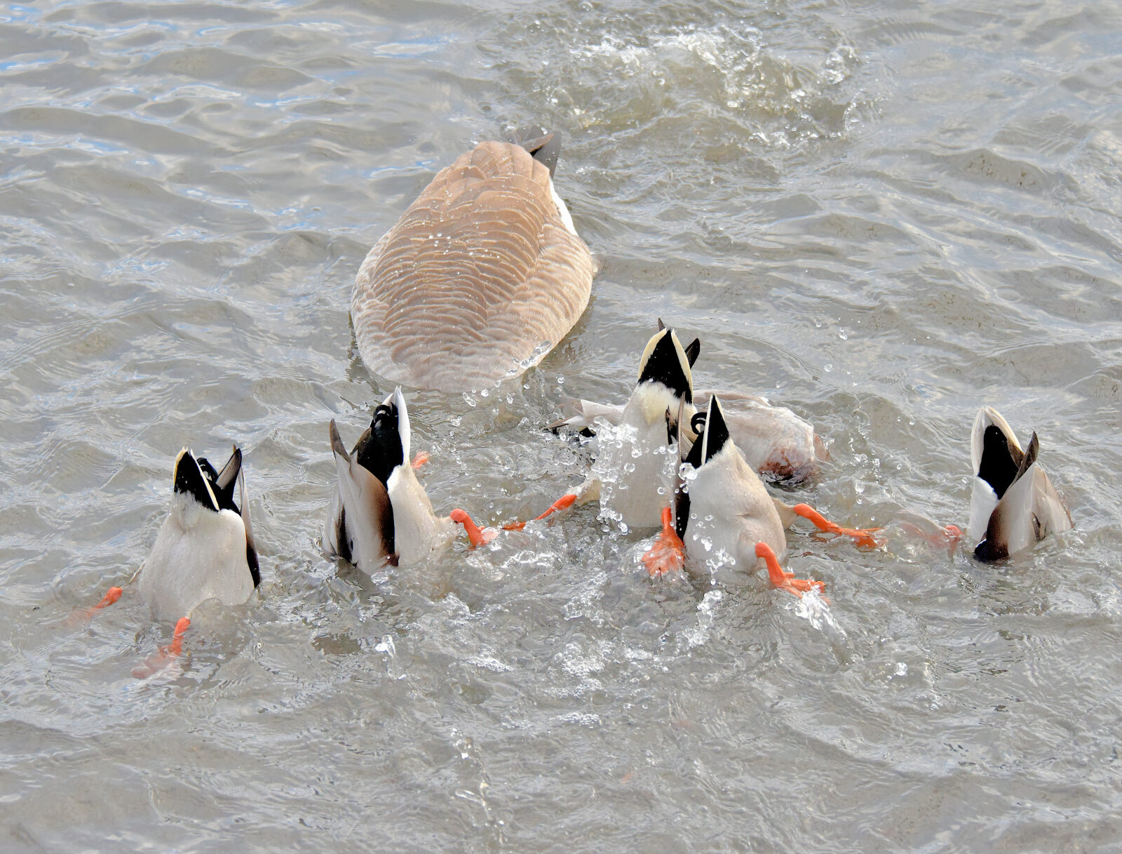 Valokuvaaja: Reijo Juurinen