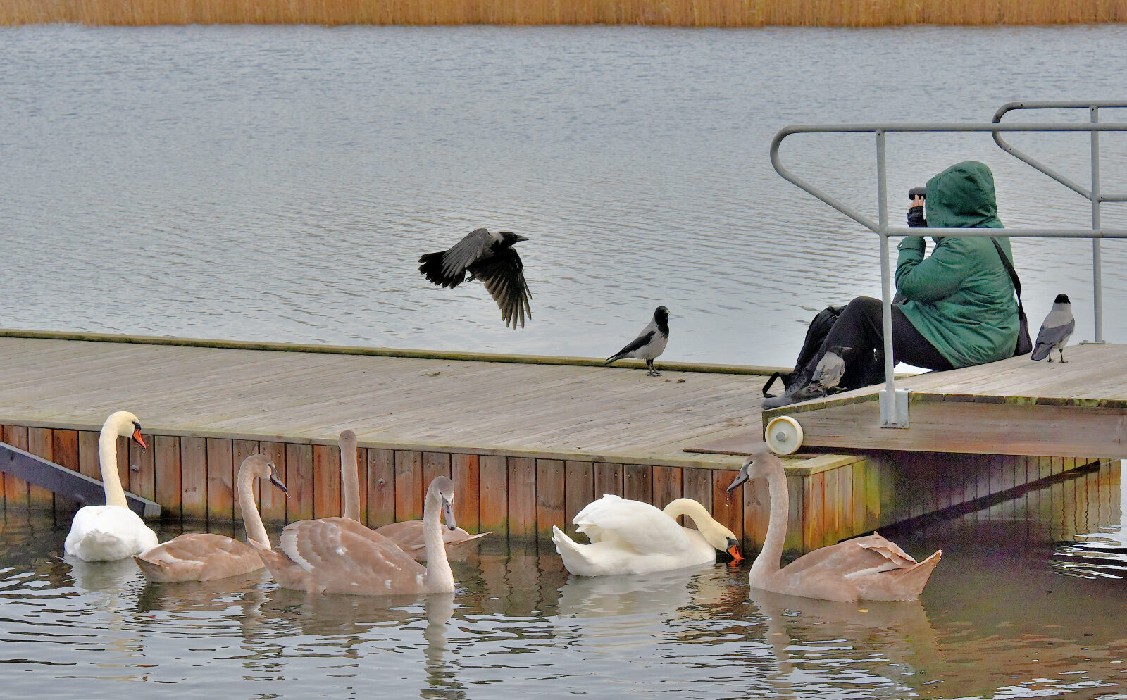 Valokuvaaja: Reijo Juurinen