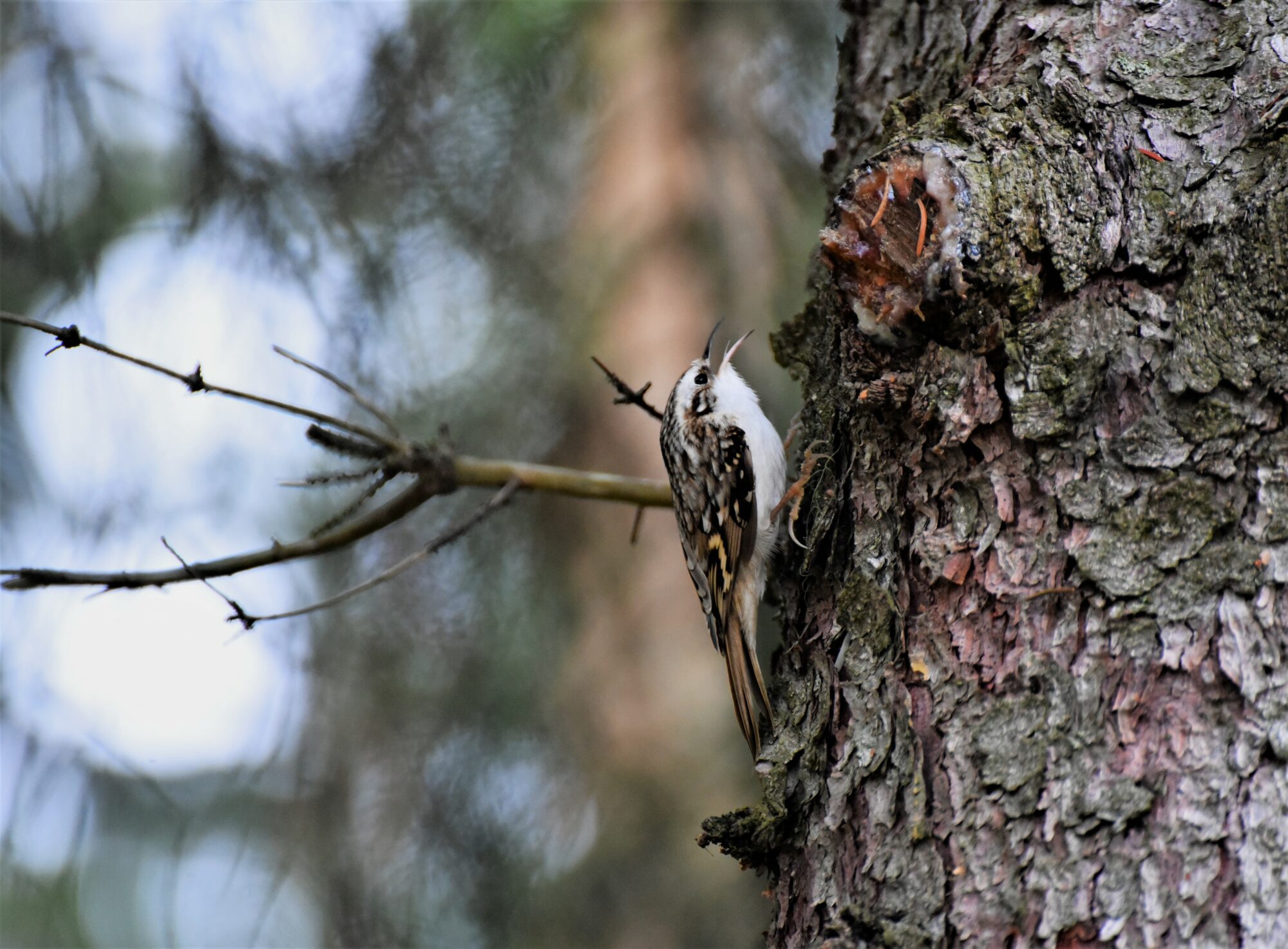 Valokuvaaja: Leena Latvala