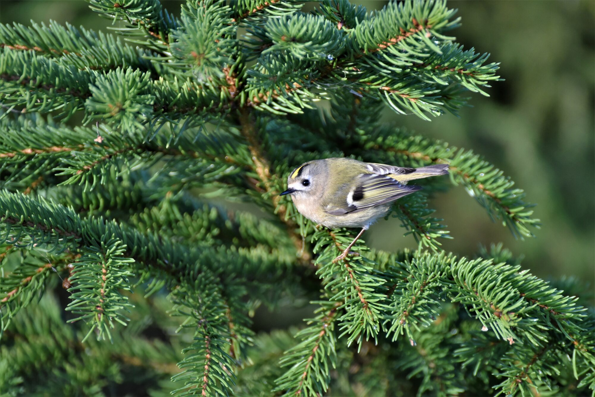 Valokuvaaja: Leena Latvala