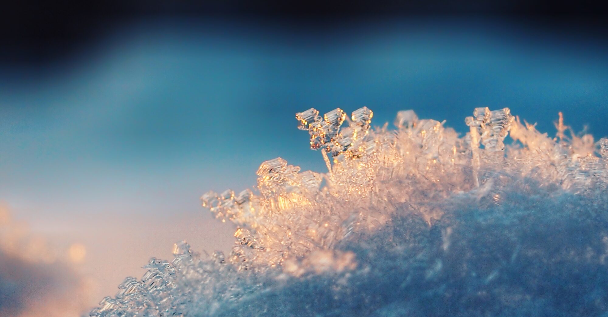 Valokuvaaja: Sonja Jaakola