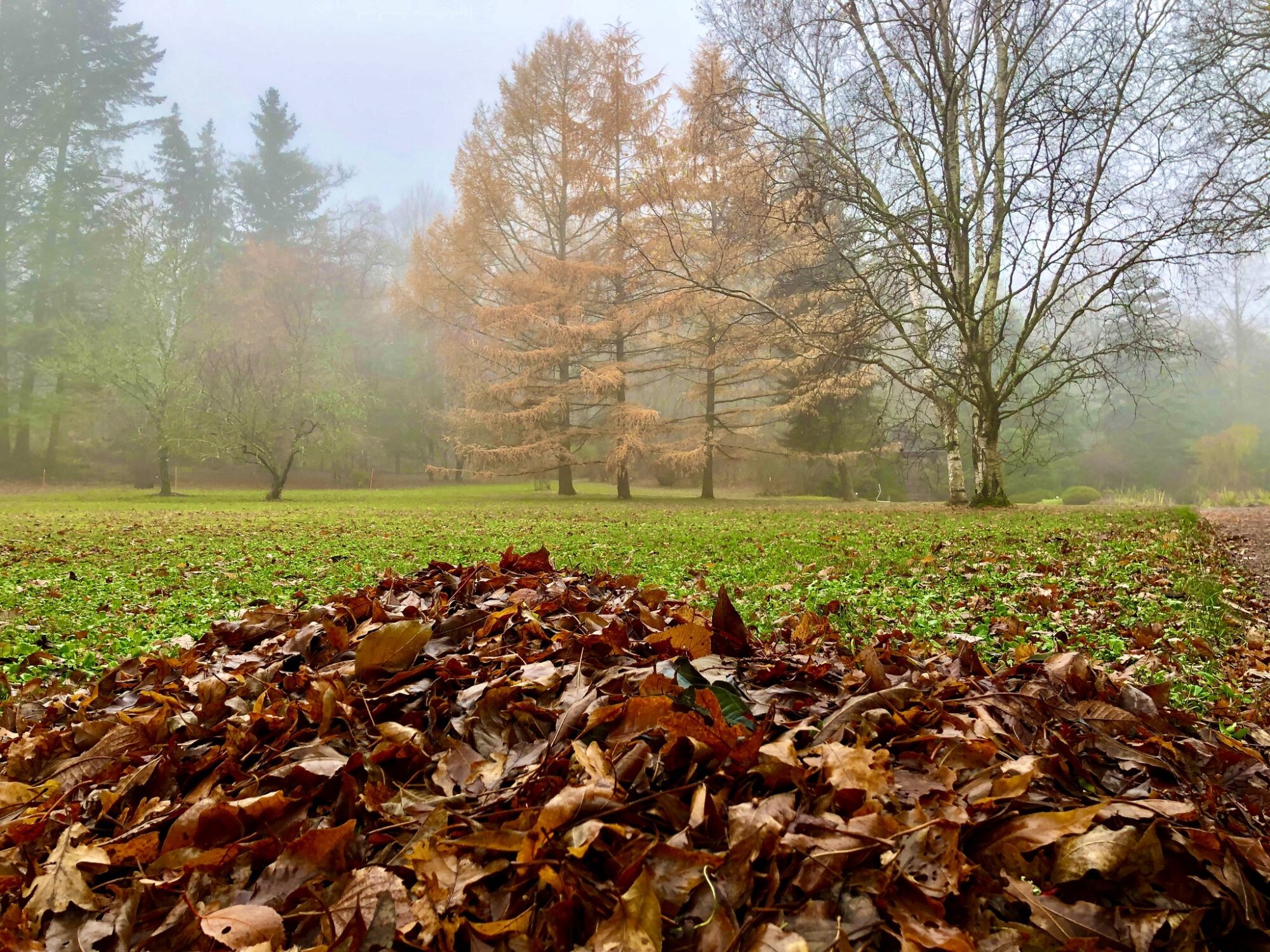 Valokuvaaja: Juhani Peltonen