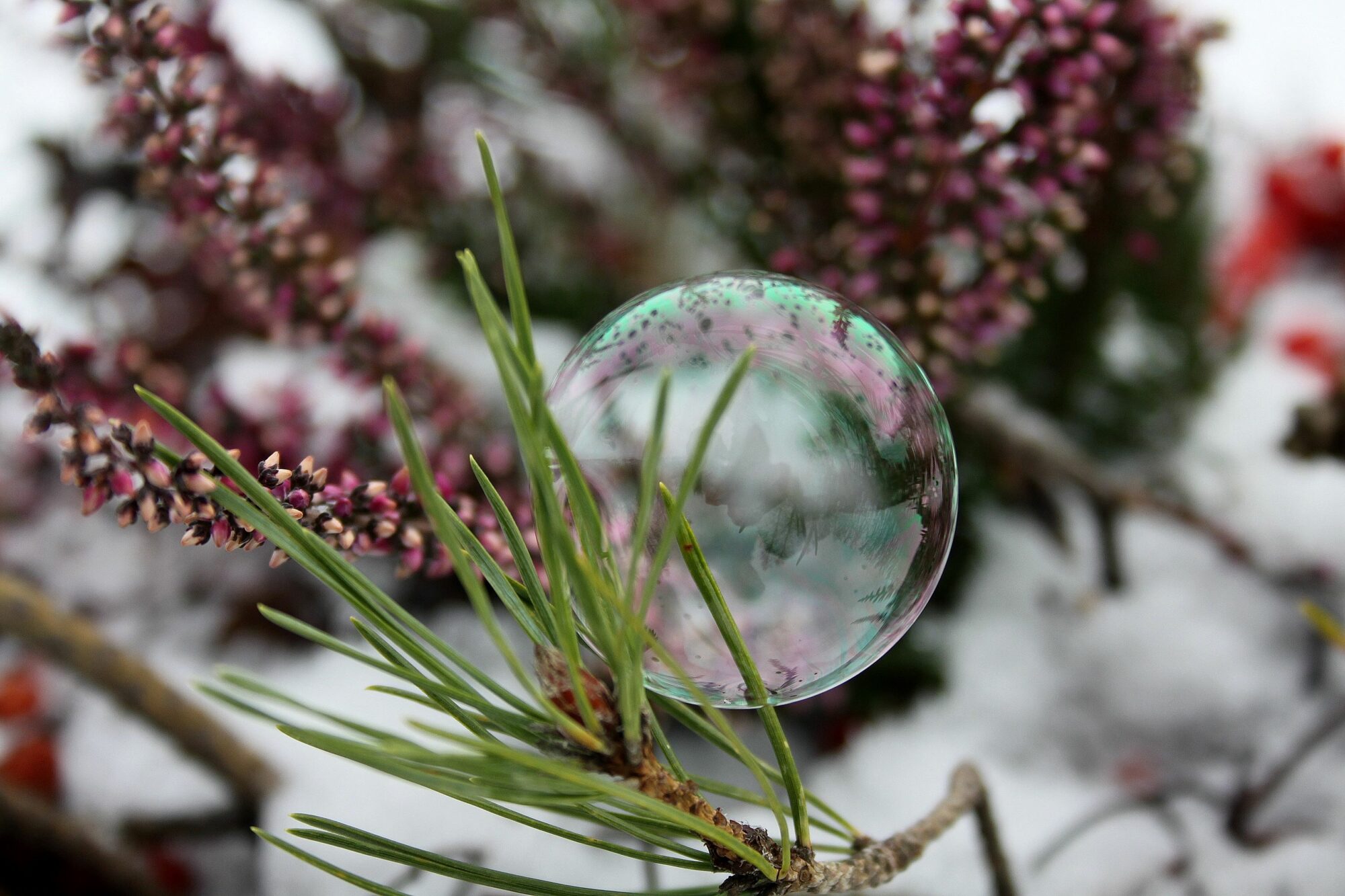 Valokuvaaja: Pirkko Siukonen Valokuvaaja: Pirkko Siukonen