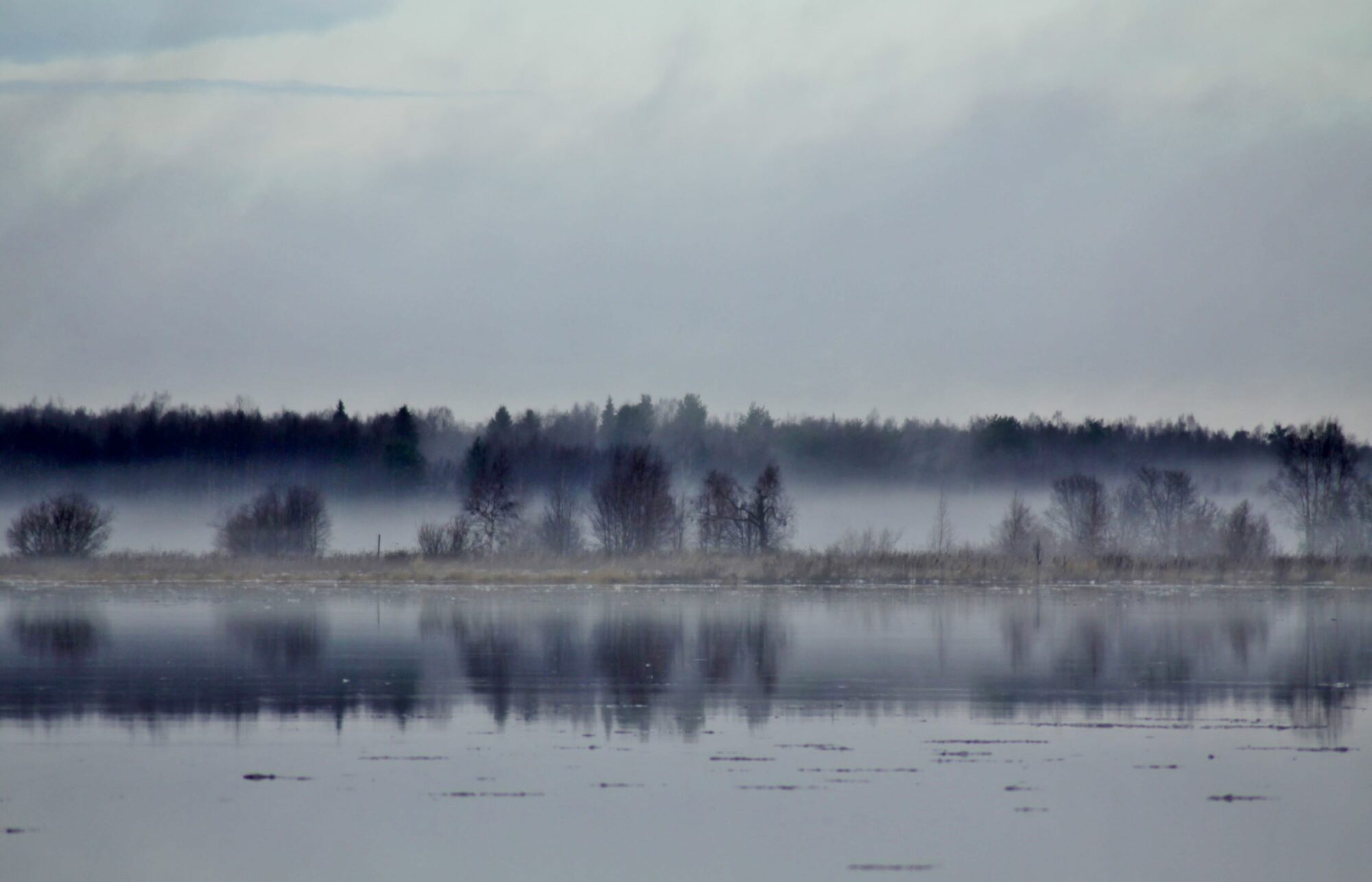 Valokuvaaja: Pirkko Siukonen Valokuvaaja: Pirkko Siukonen