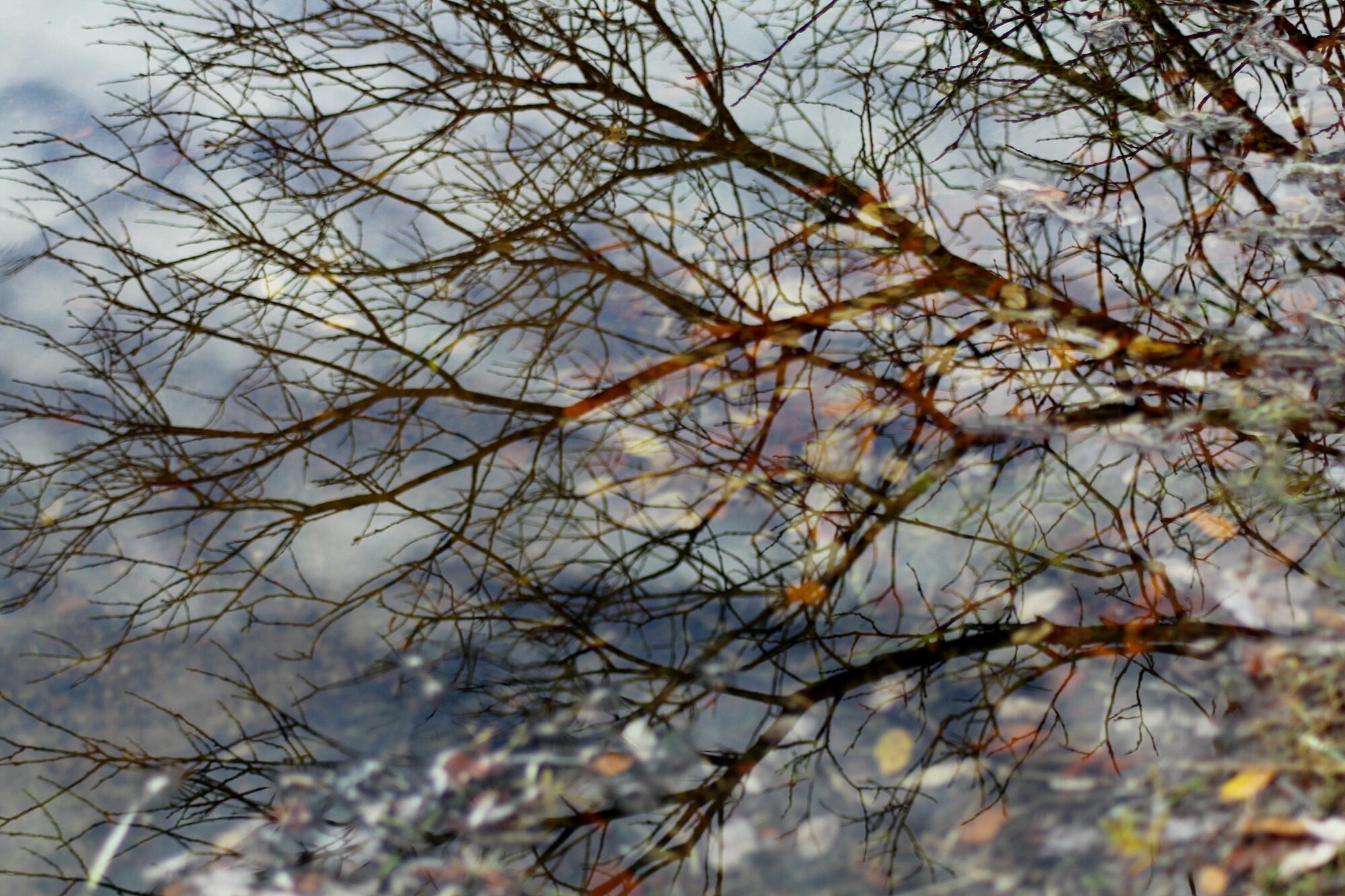 Valokuvaaja: Pirkko Siukonen