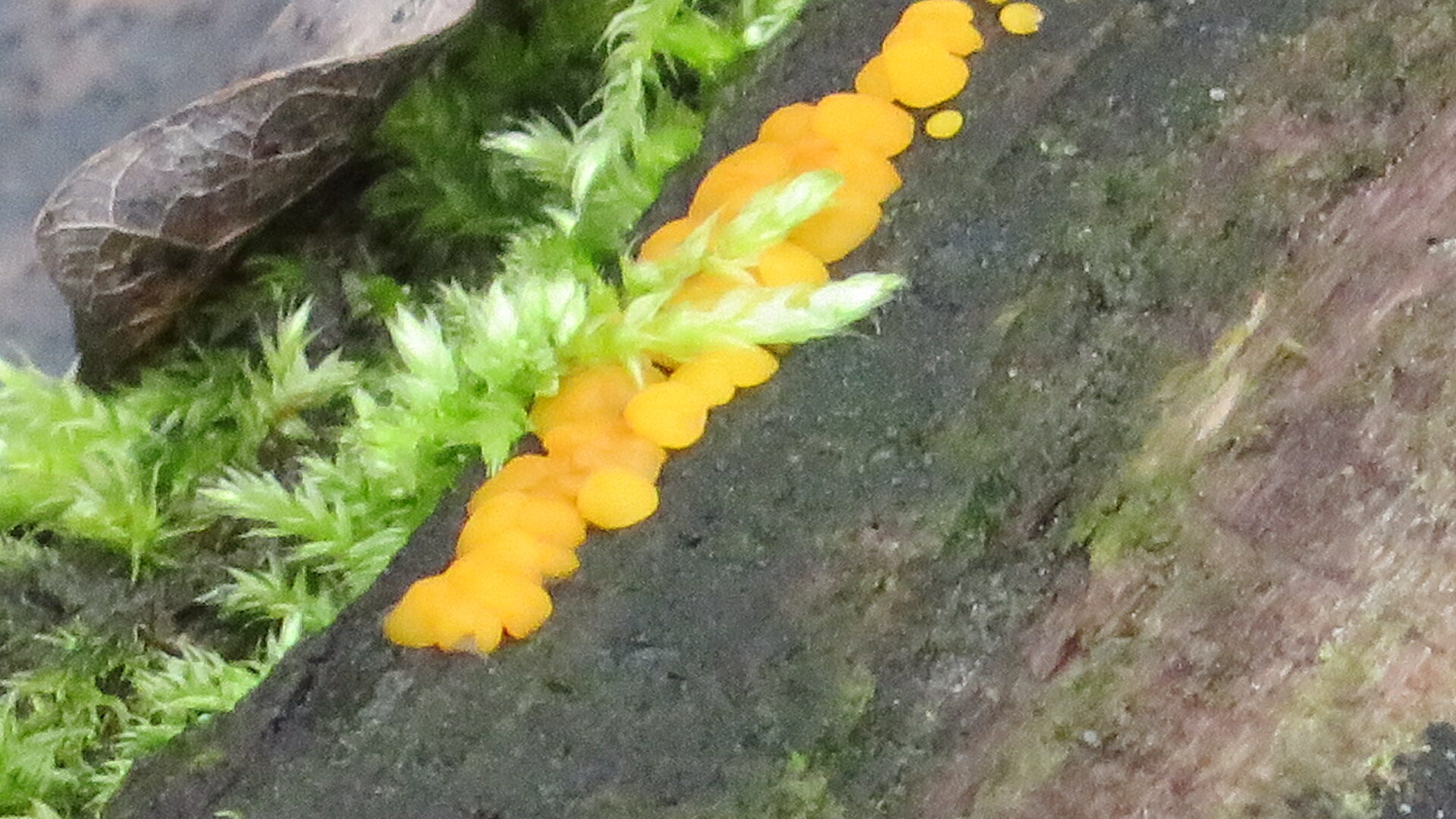 Valokuvaaja: Risto Kangassalo