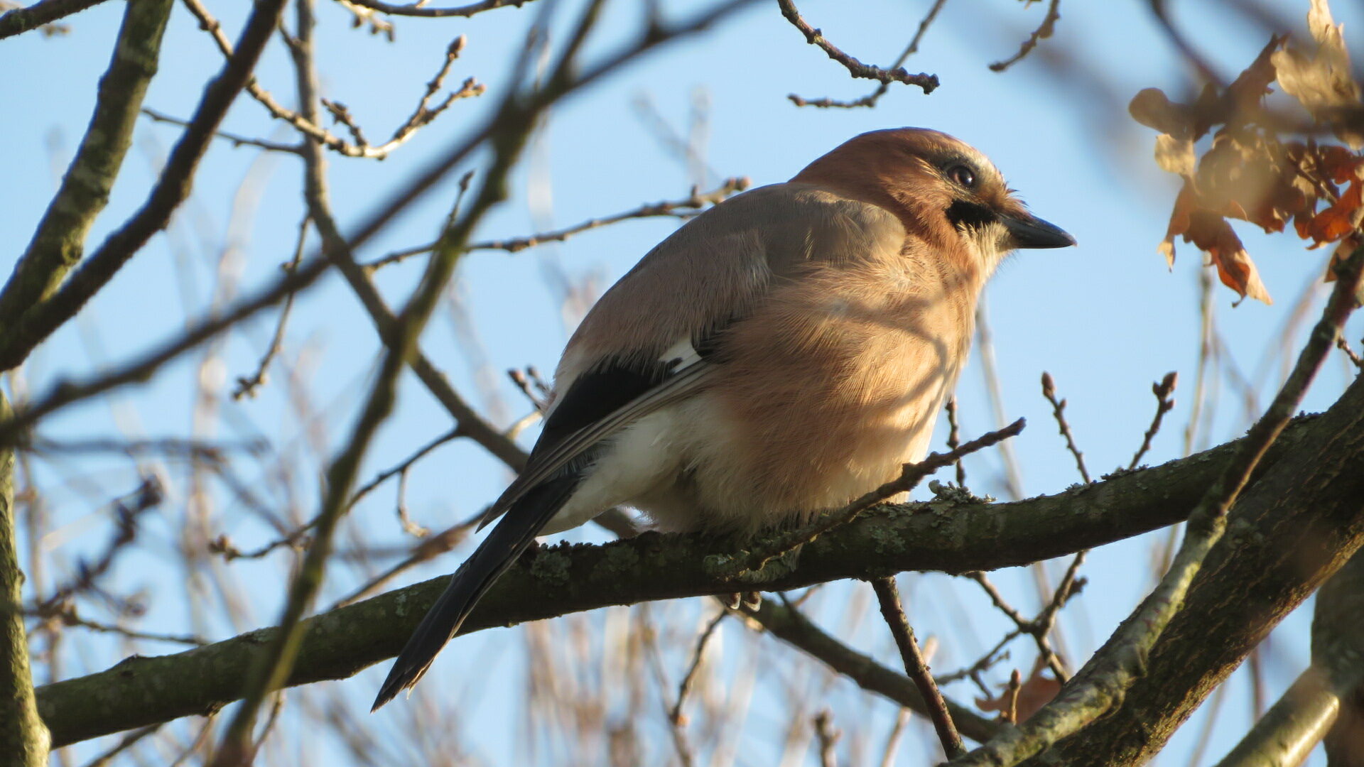 Valokuvaaja: Risto Kangassalo