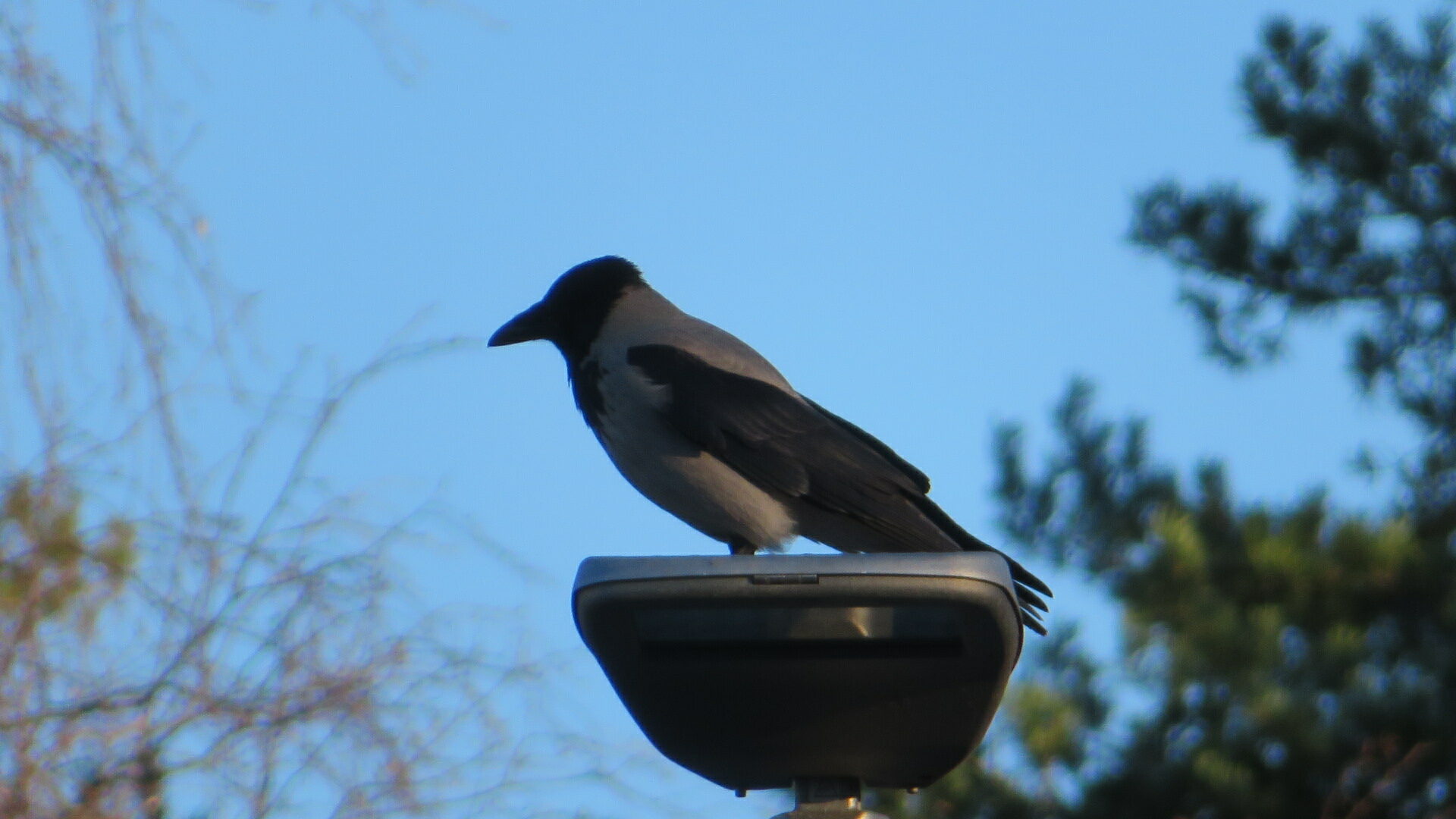 Valokuvaaja: Risto Kangassalo