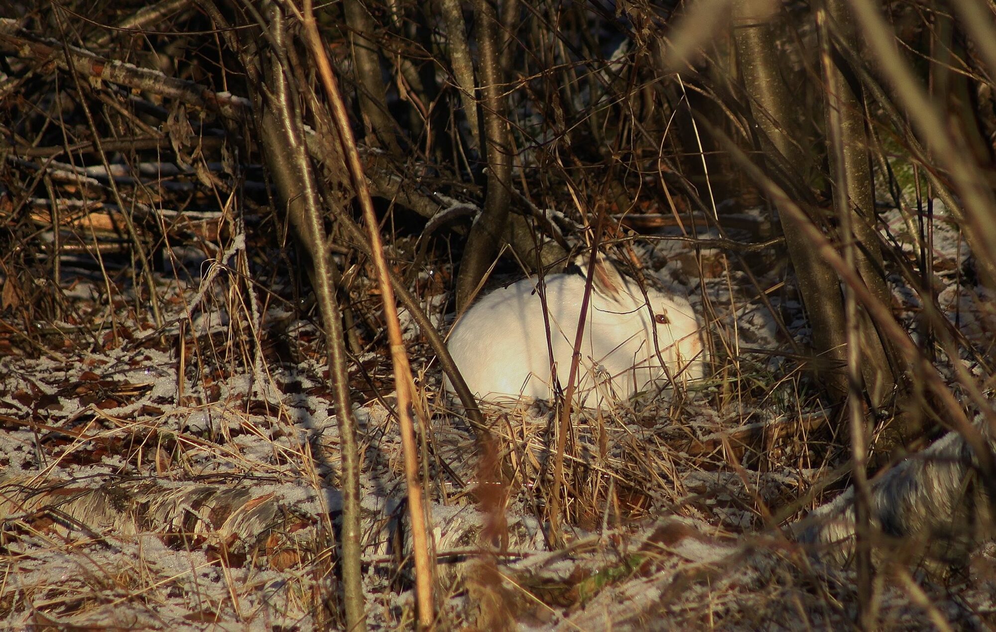 Valokuvaaja: Pirkko Siukonen