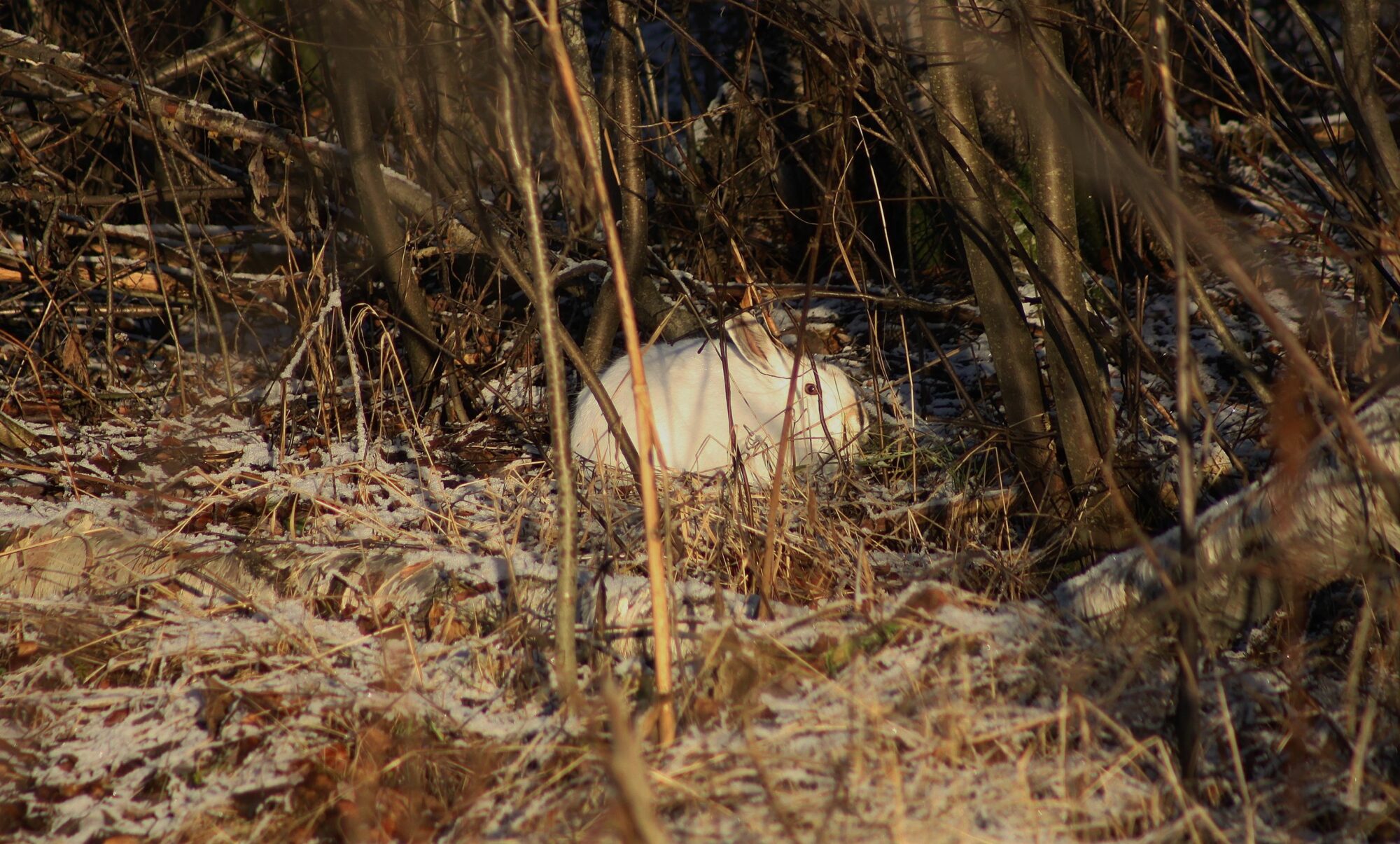 Valokuvaaja: Pirkko Siukonen