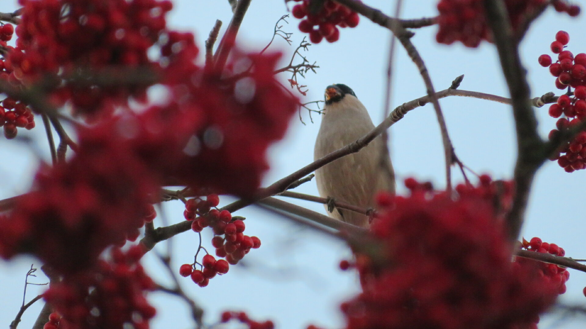 Valokuvaaja: Risto Kangassalo